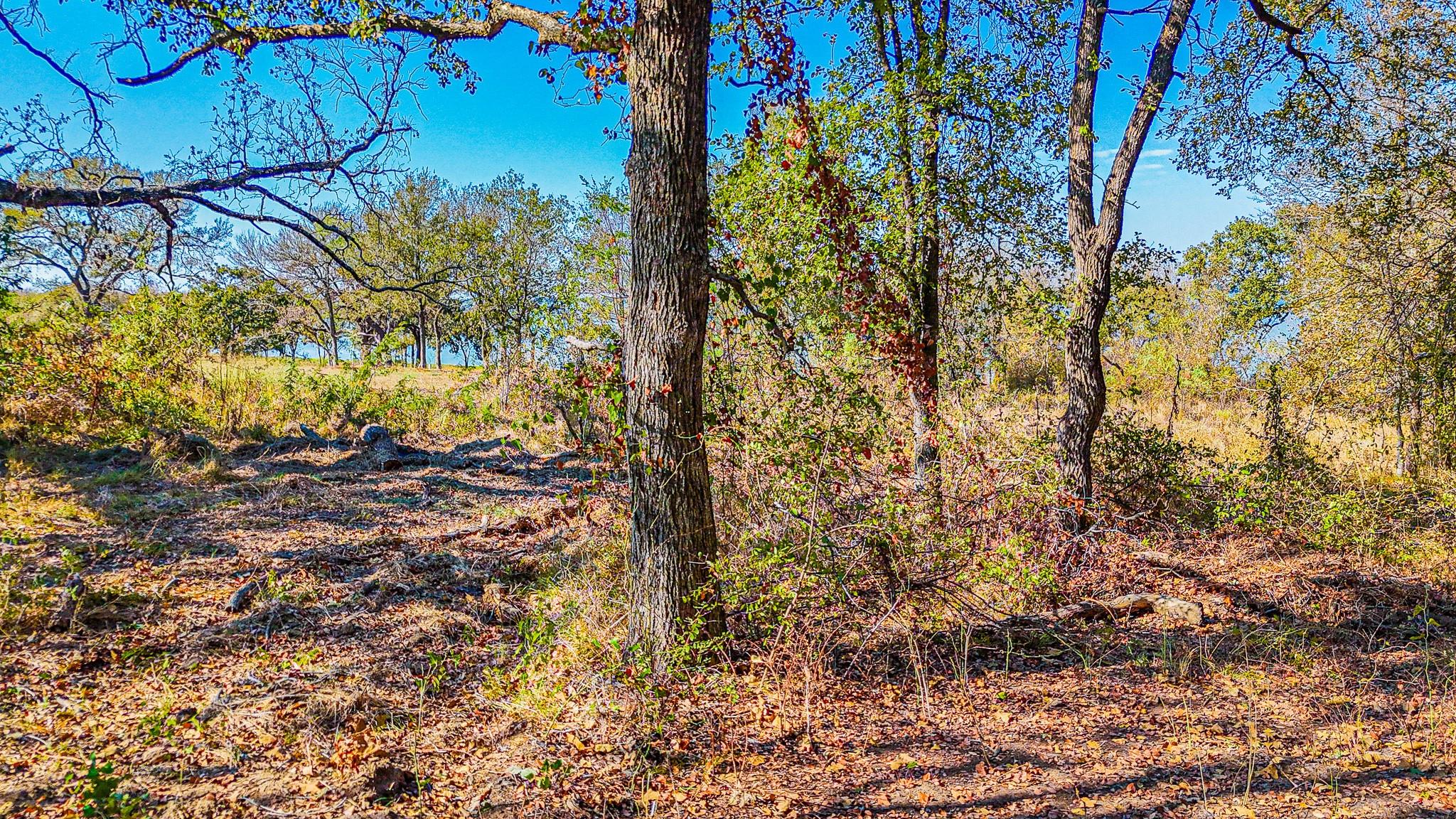 main property photo 15