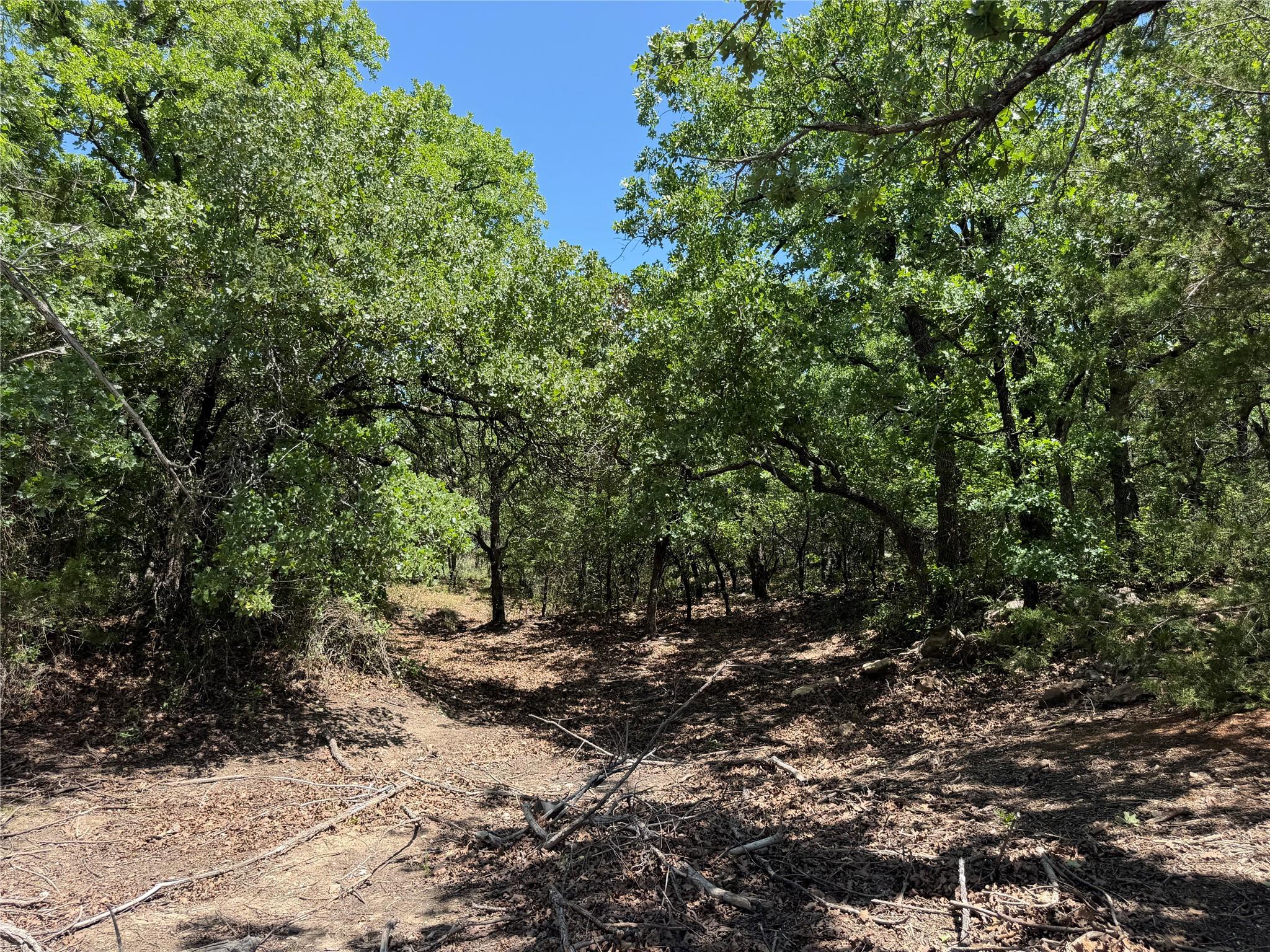 main property photo 16