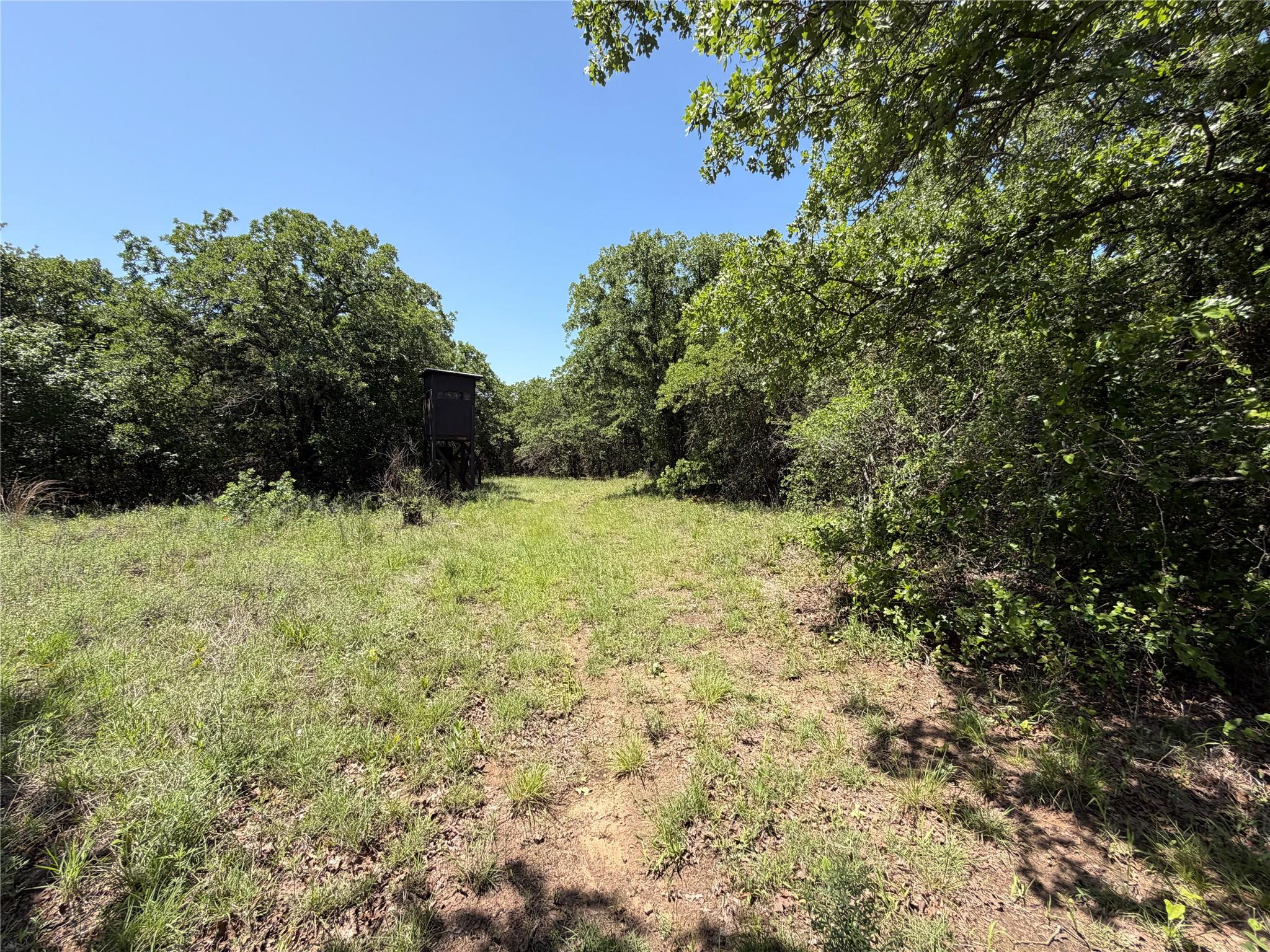 main property photo 6