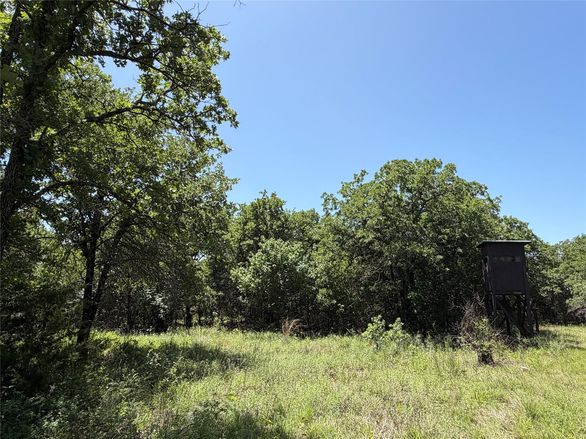 main property photo 7