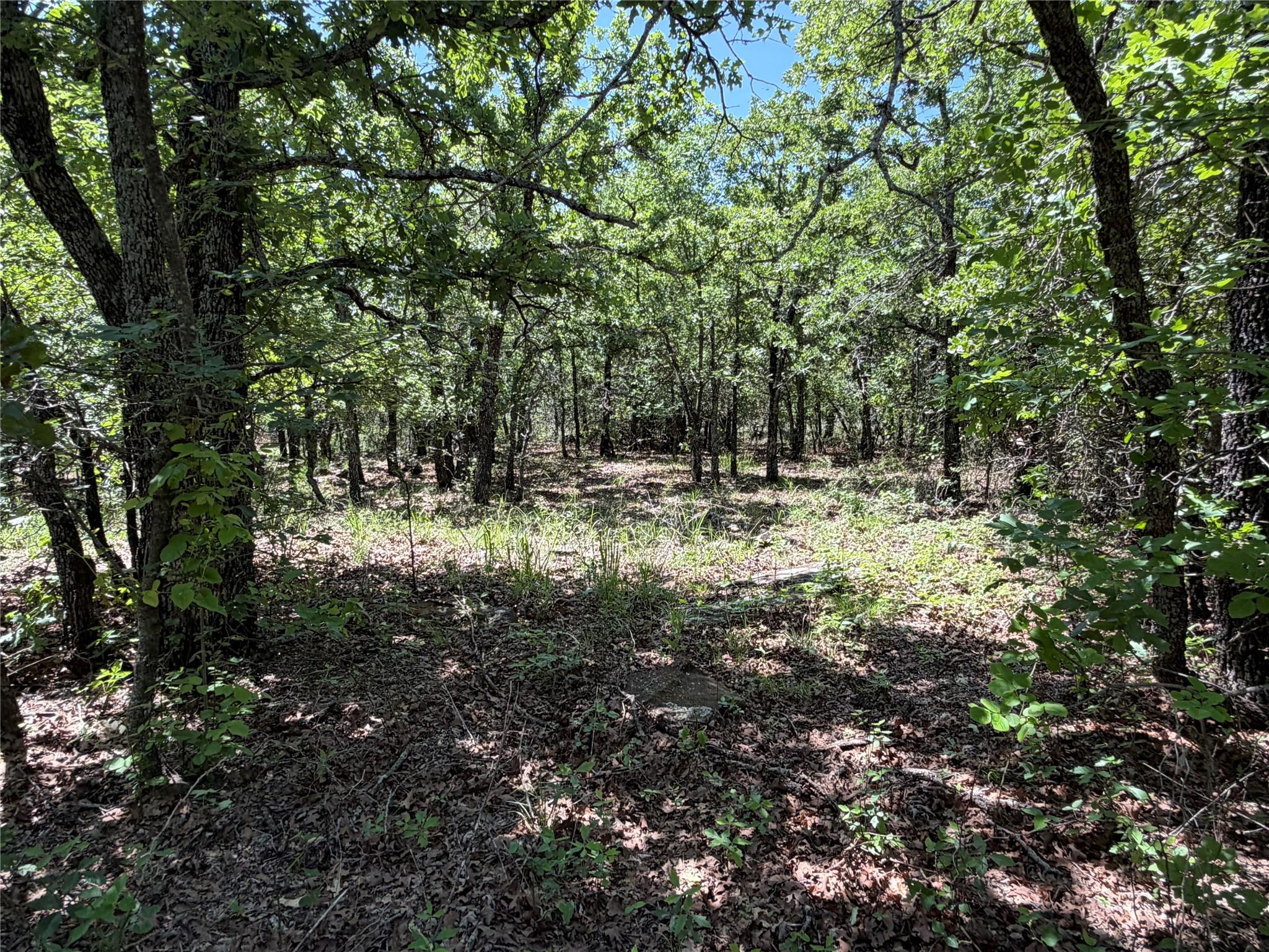 main property photo 9