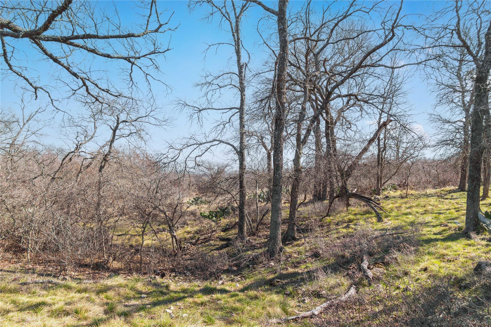 main property photo 38