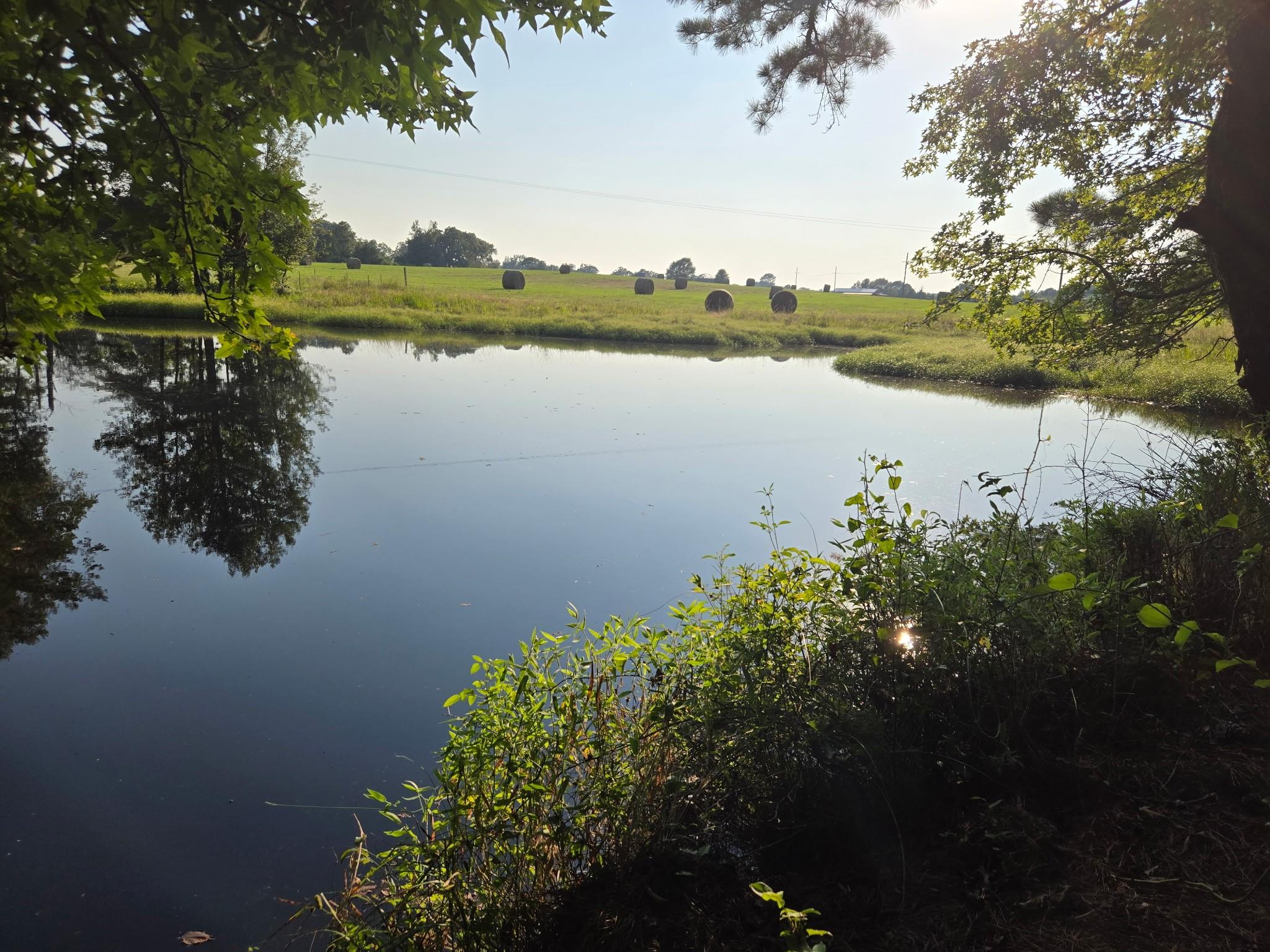 main property photo 20
