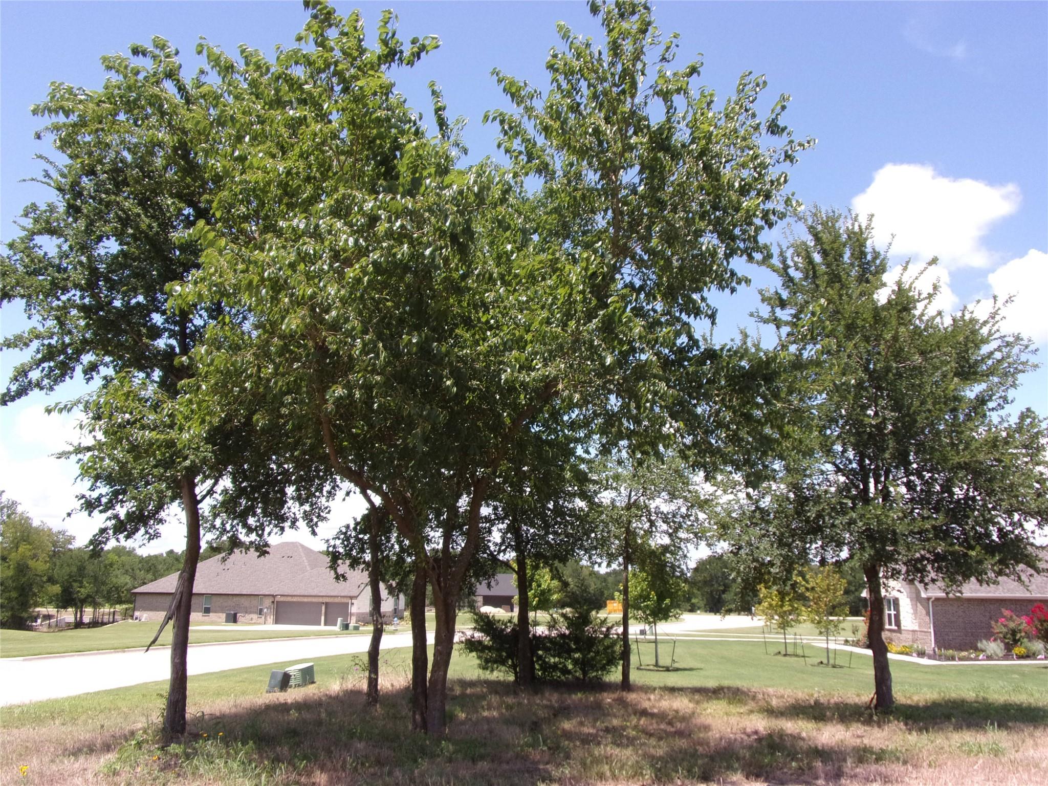 main property photo 10