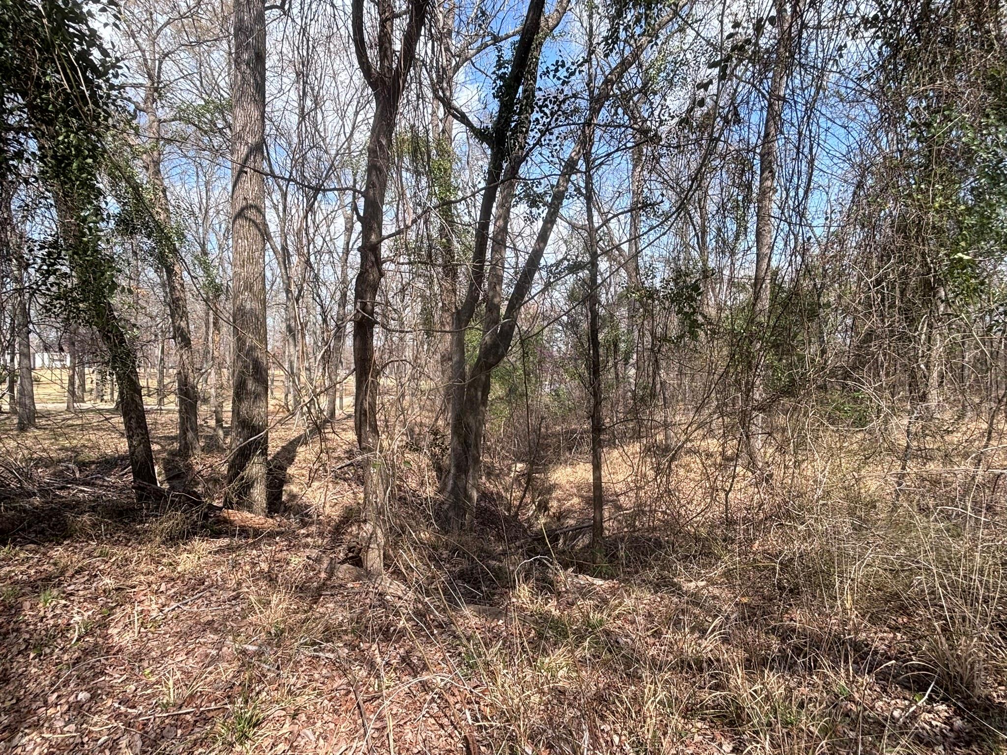 main property photo 6