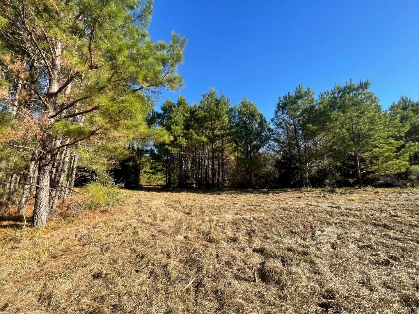 main property photo 21