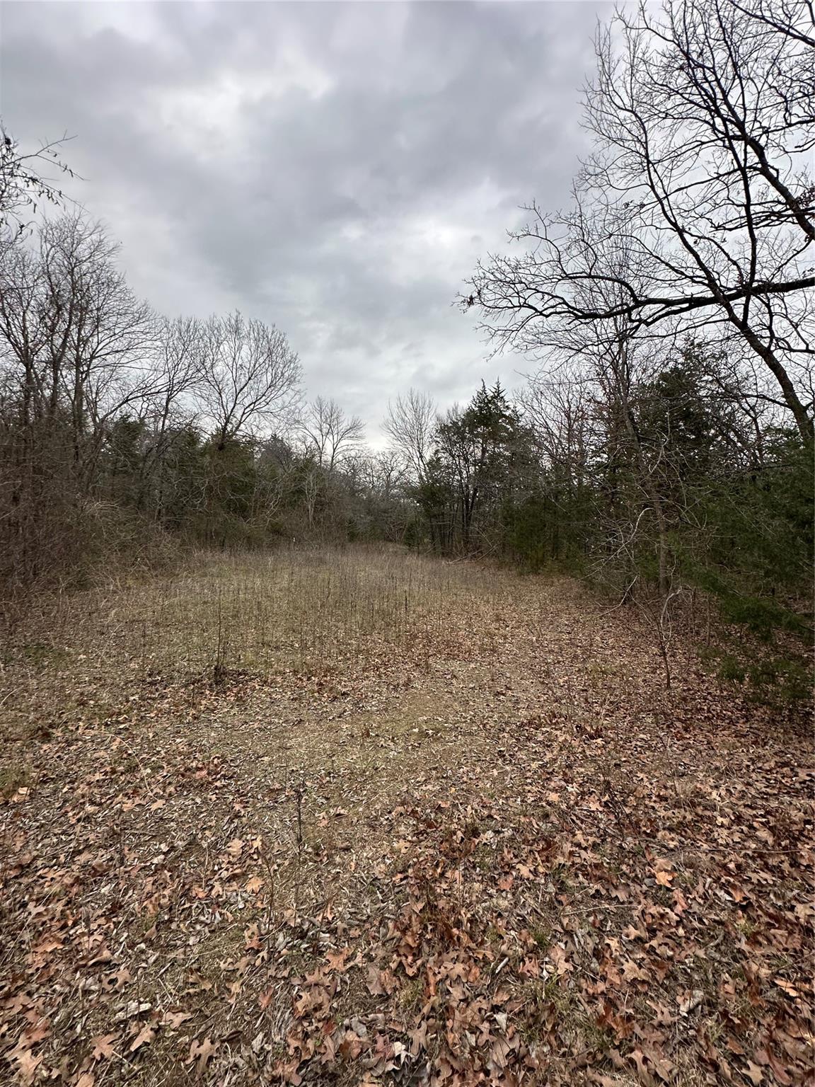 main property photo 8