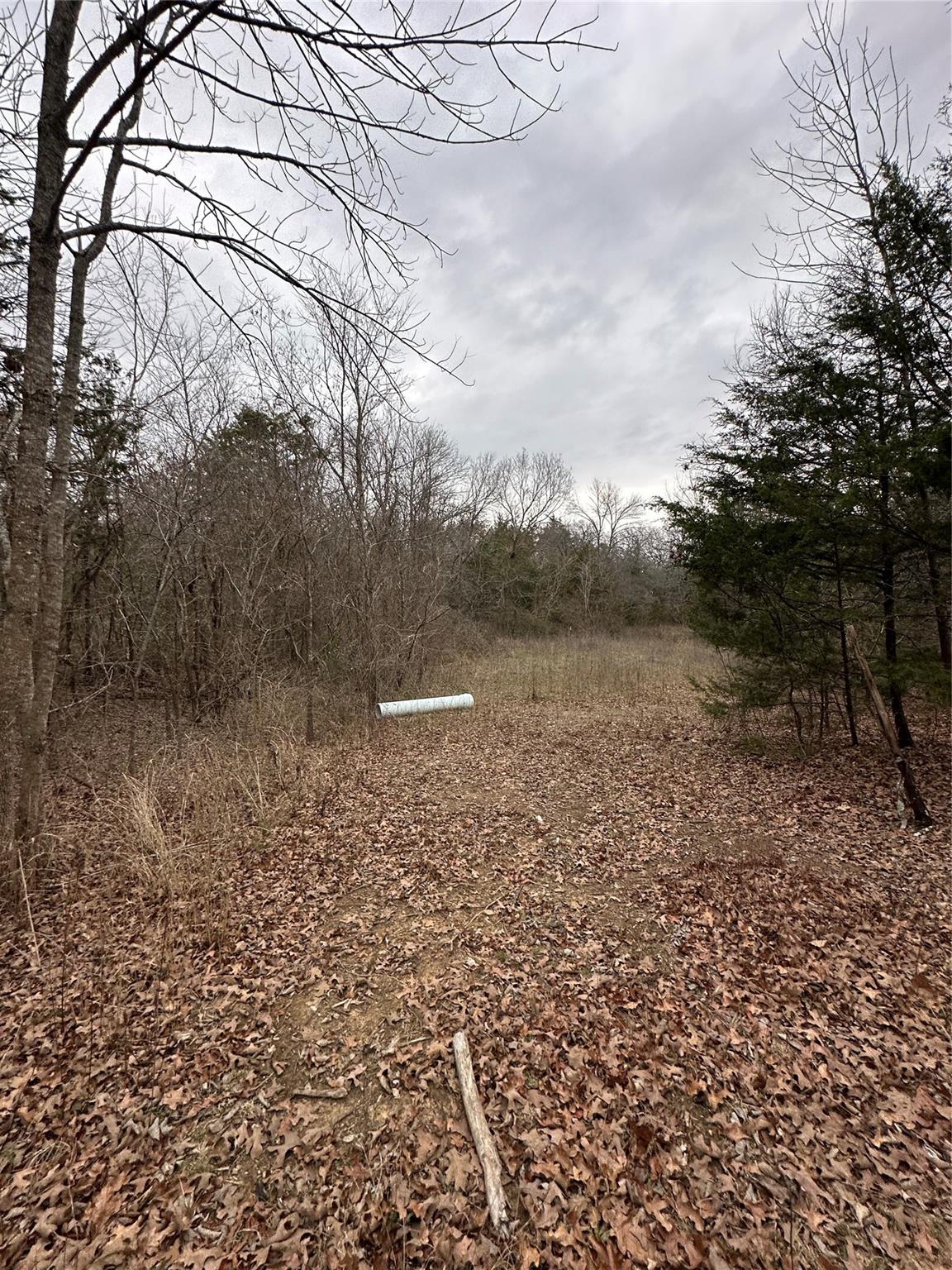 main property photo 10