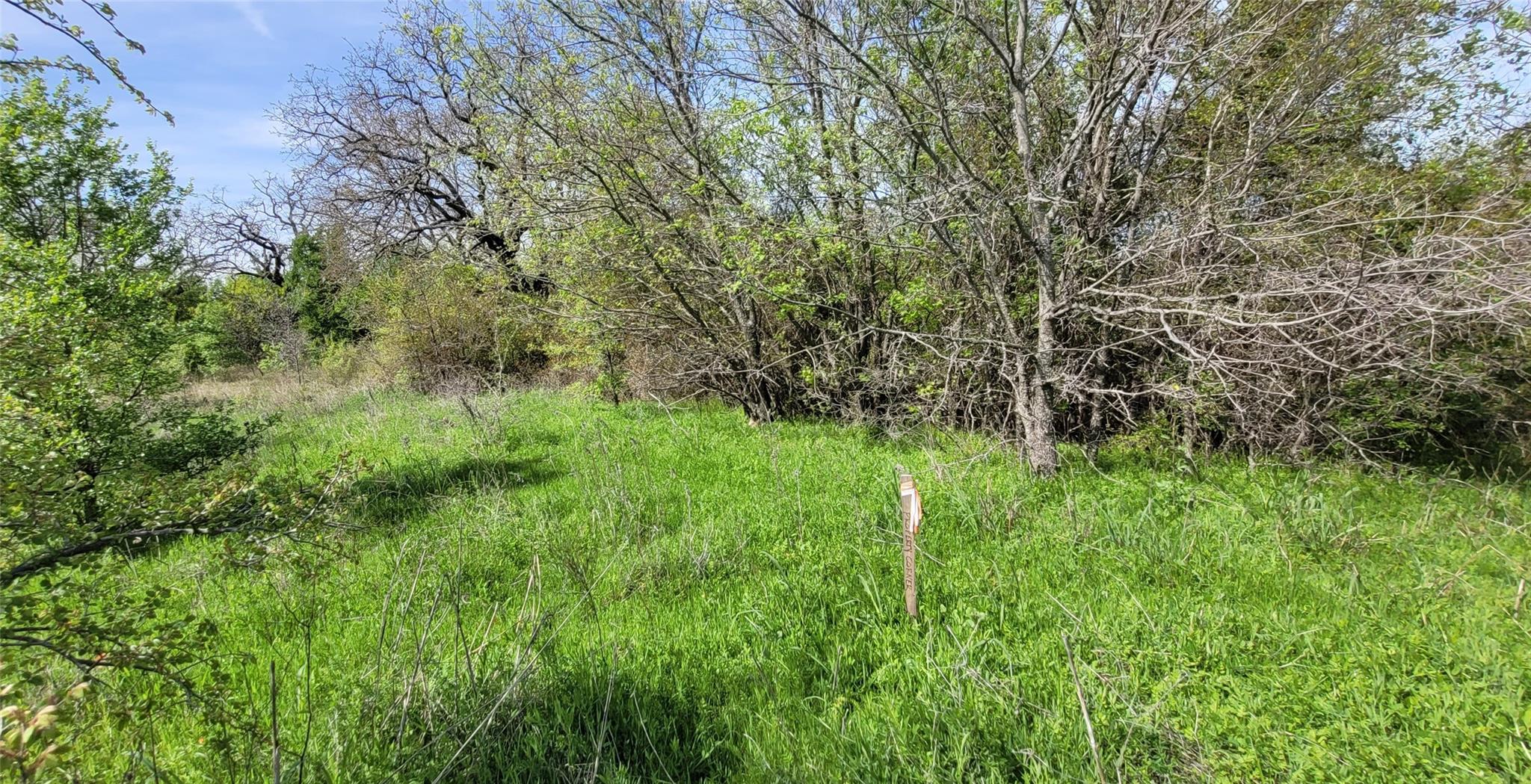 main property photo 9