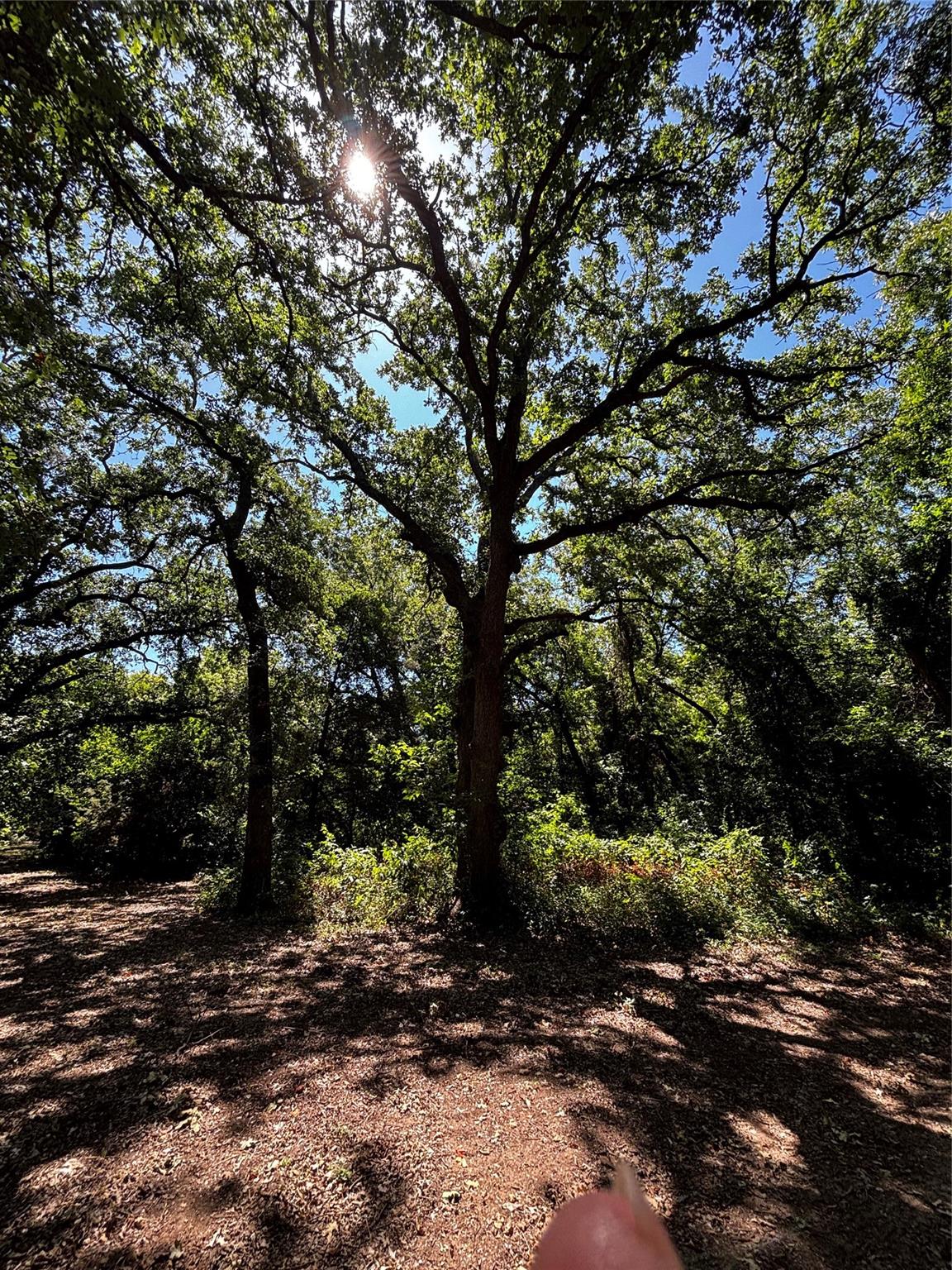 main property photo 37