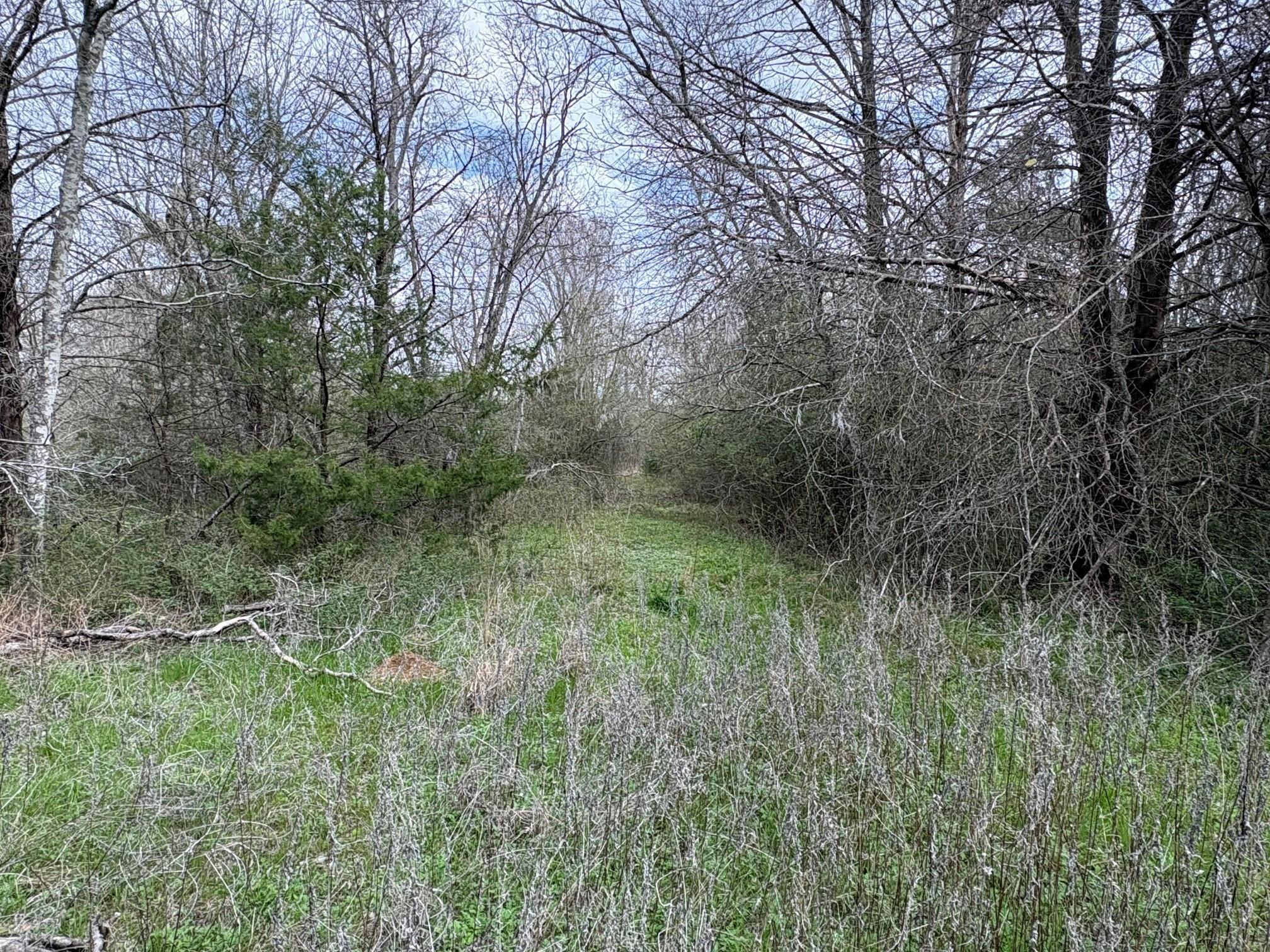 main property photo 6