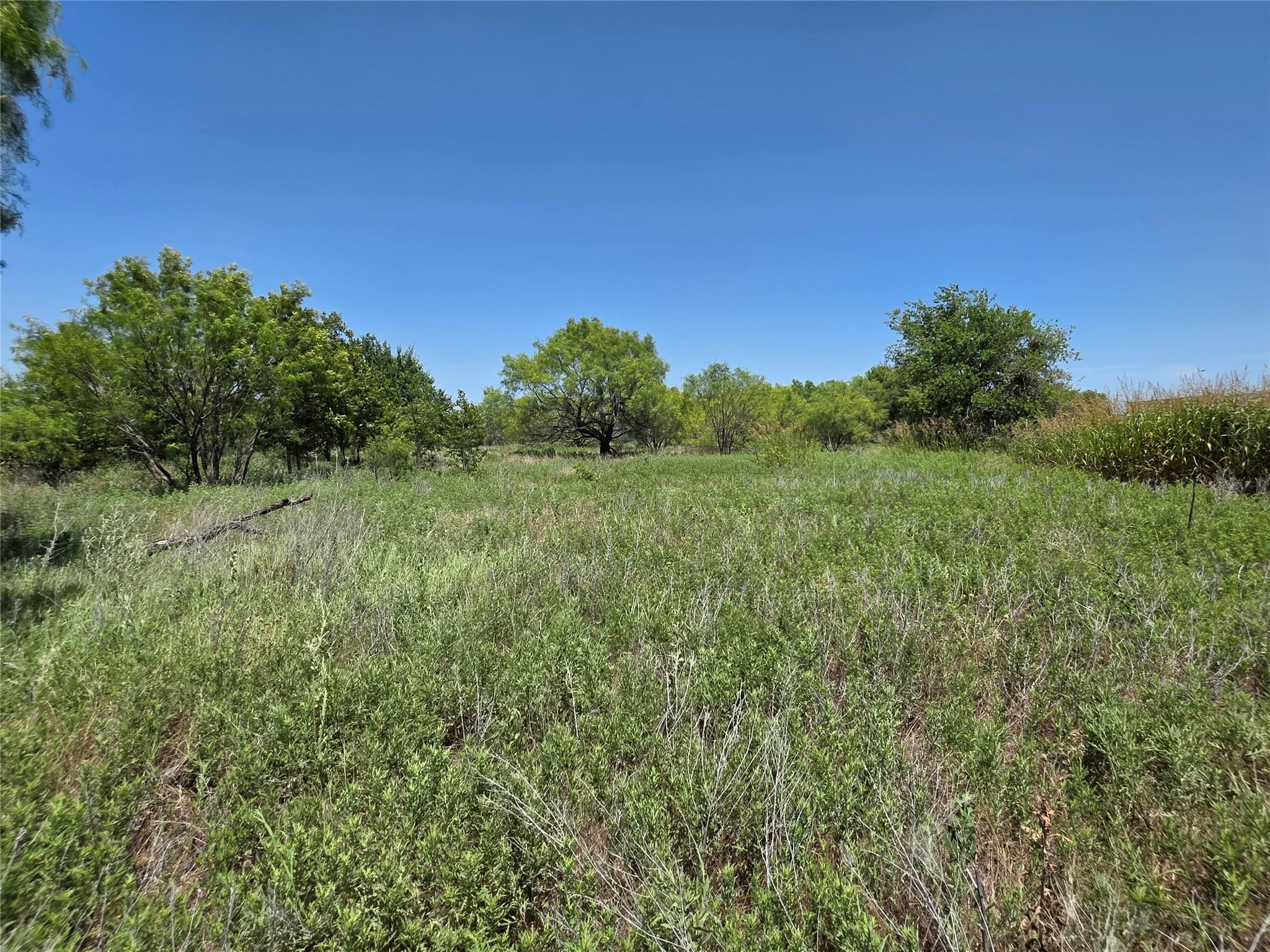 main property photo 13