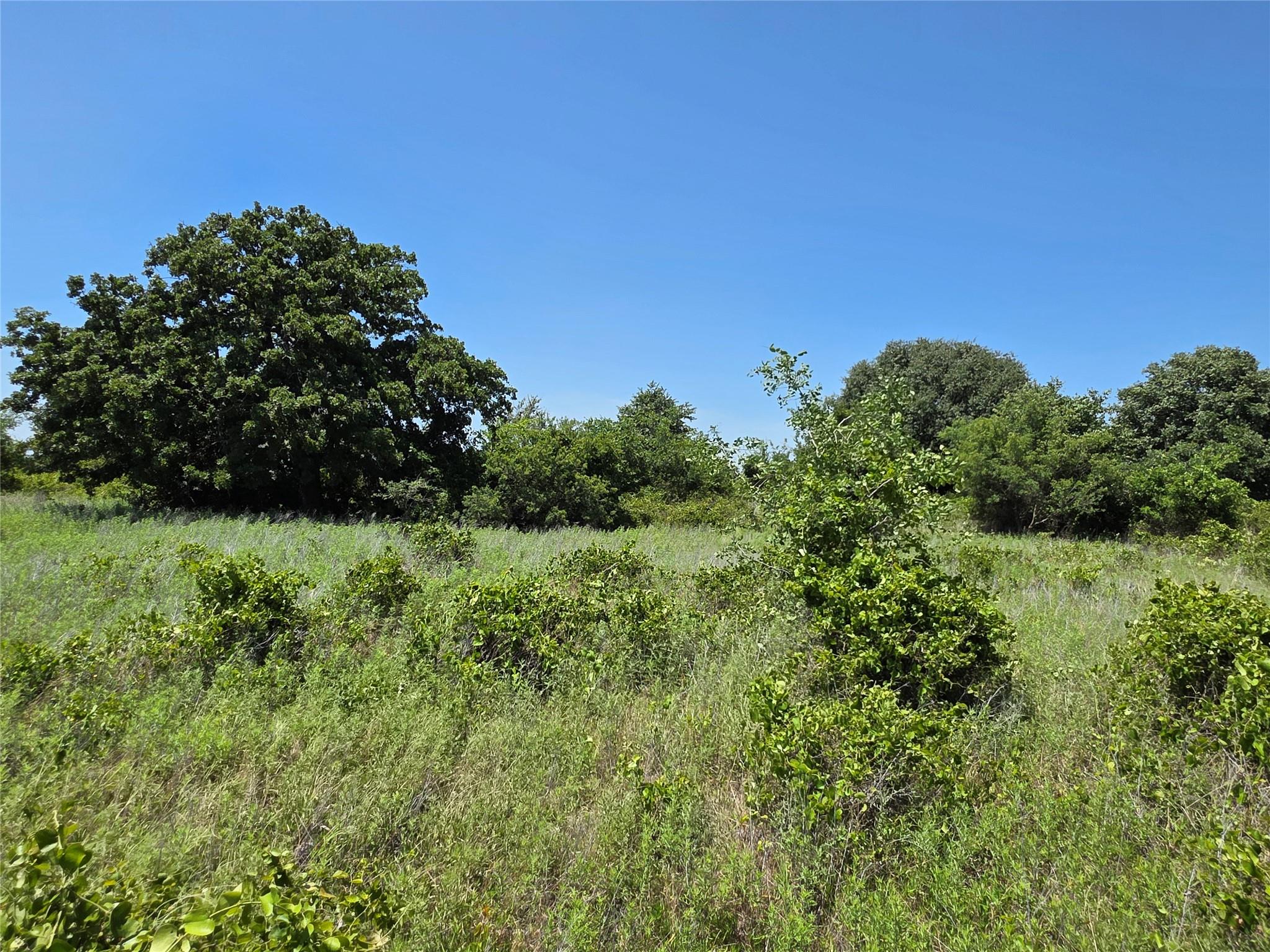 main property photo 27