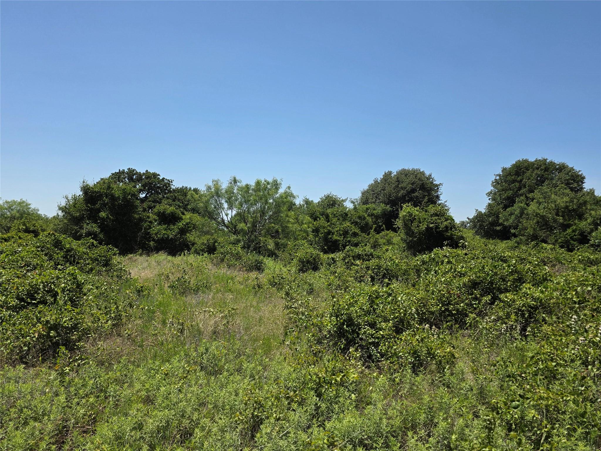 main property photo 28