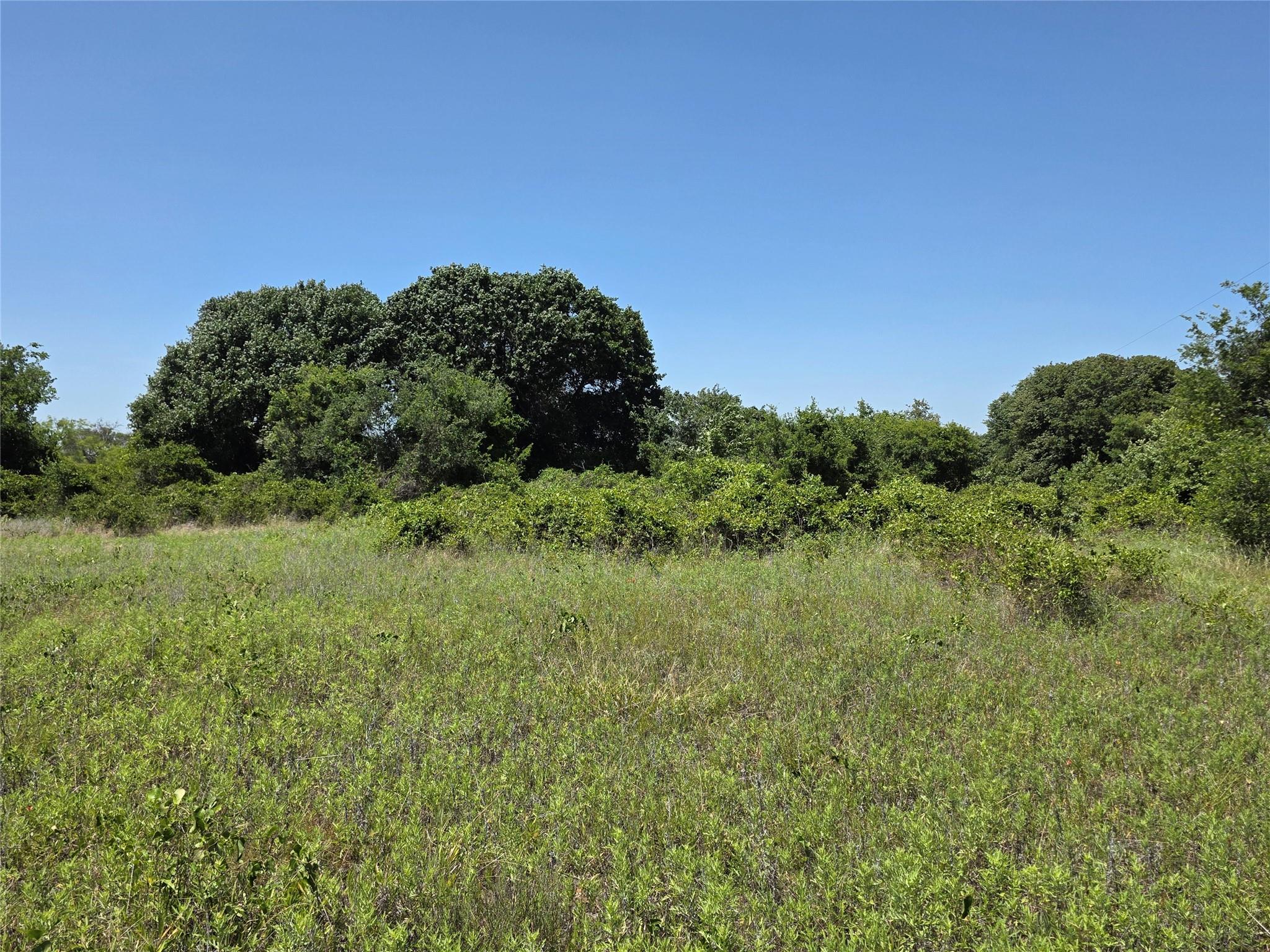 main property photo 38