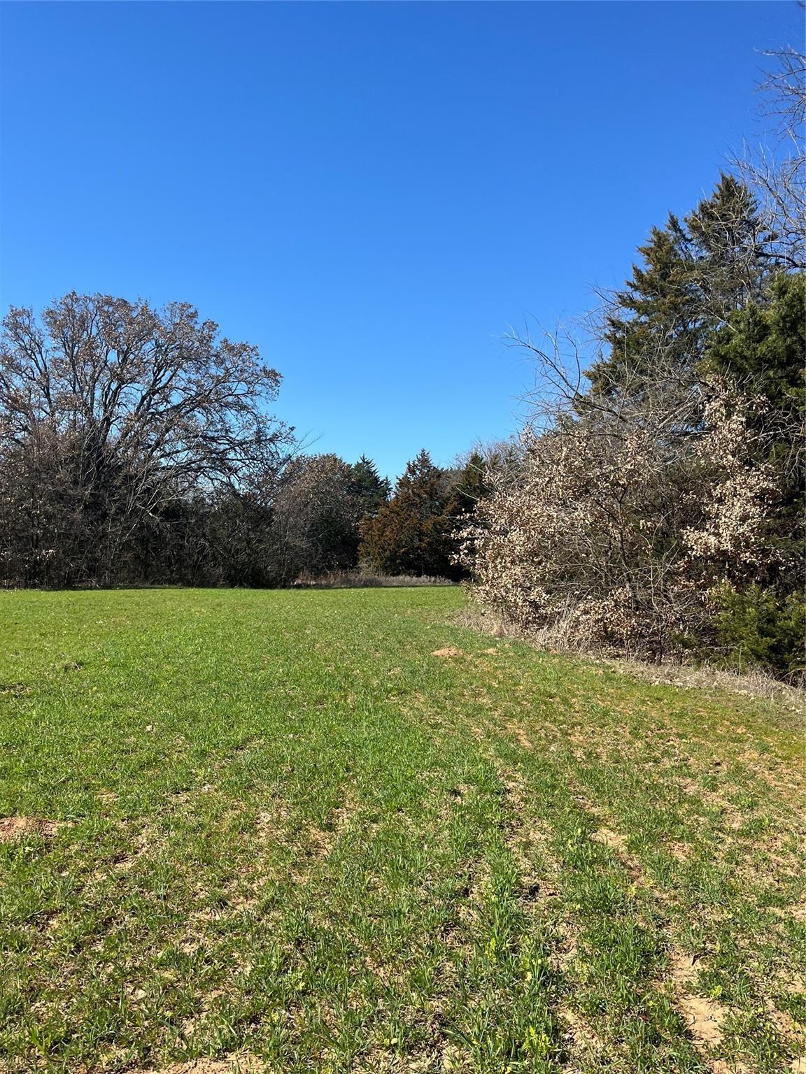 main property photo 7