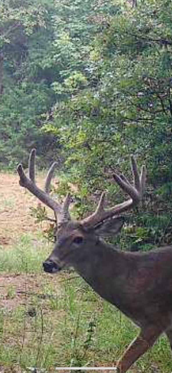main property photo 9