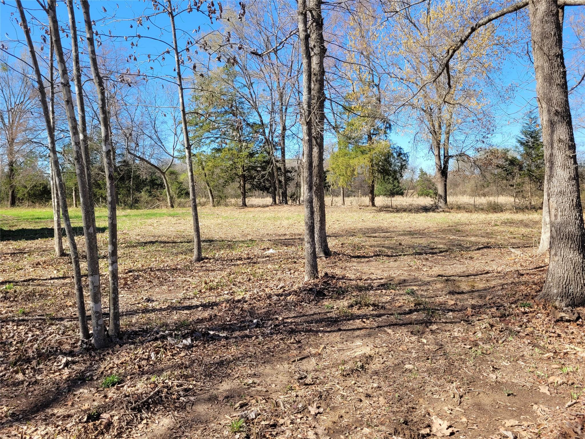 main property photo 26