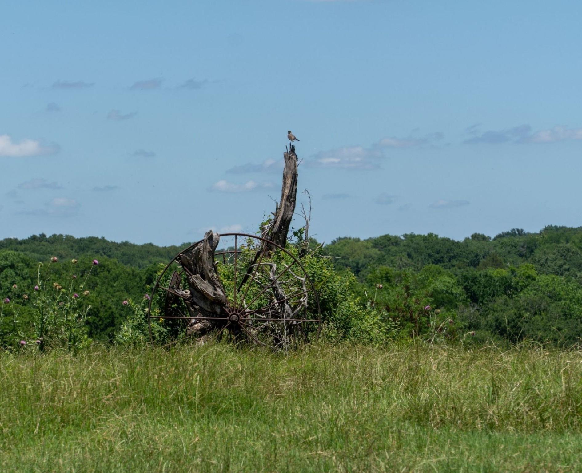 main property photo 24