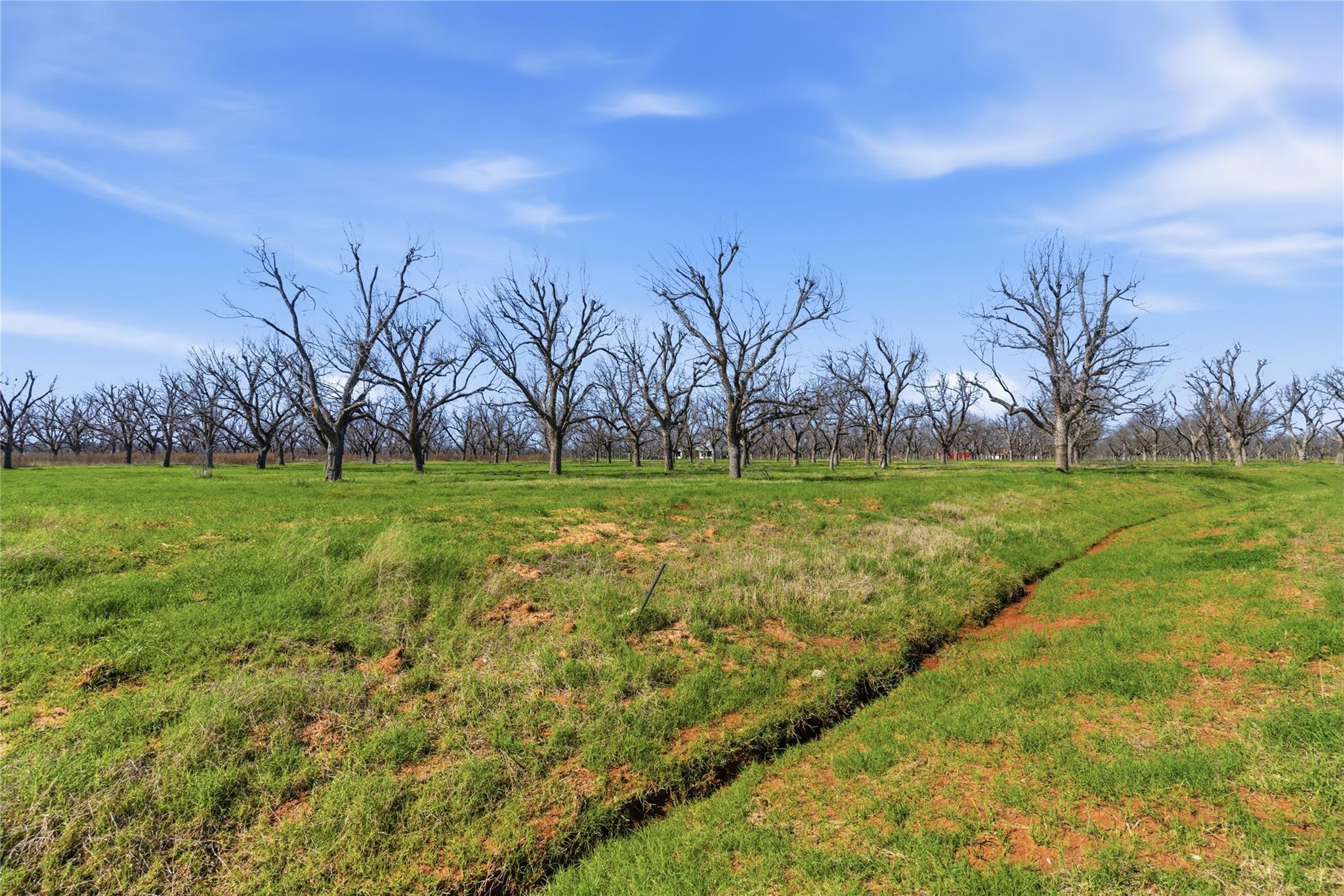 property viewer photo 4