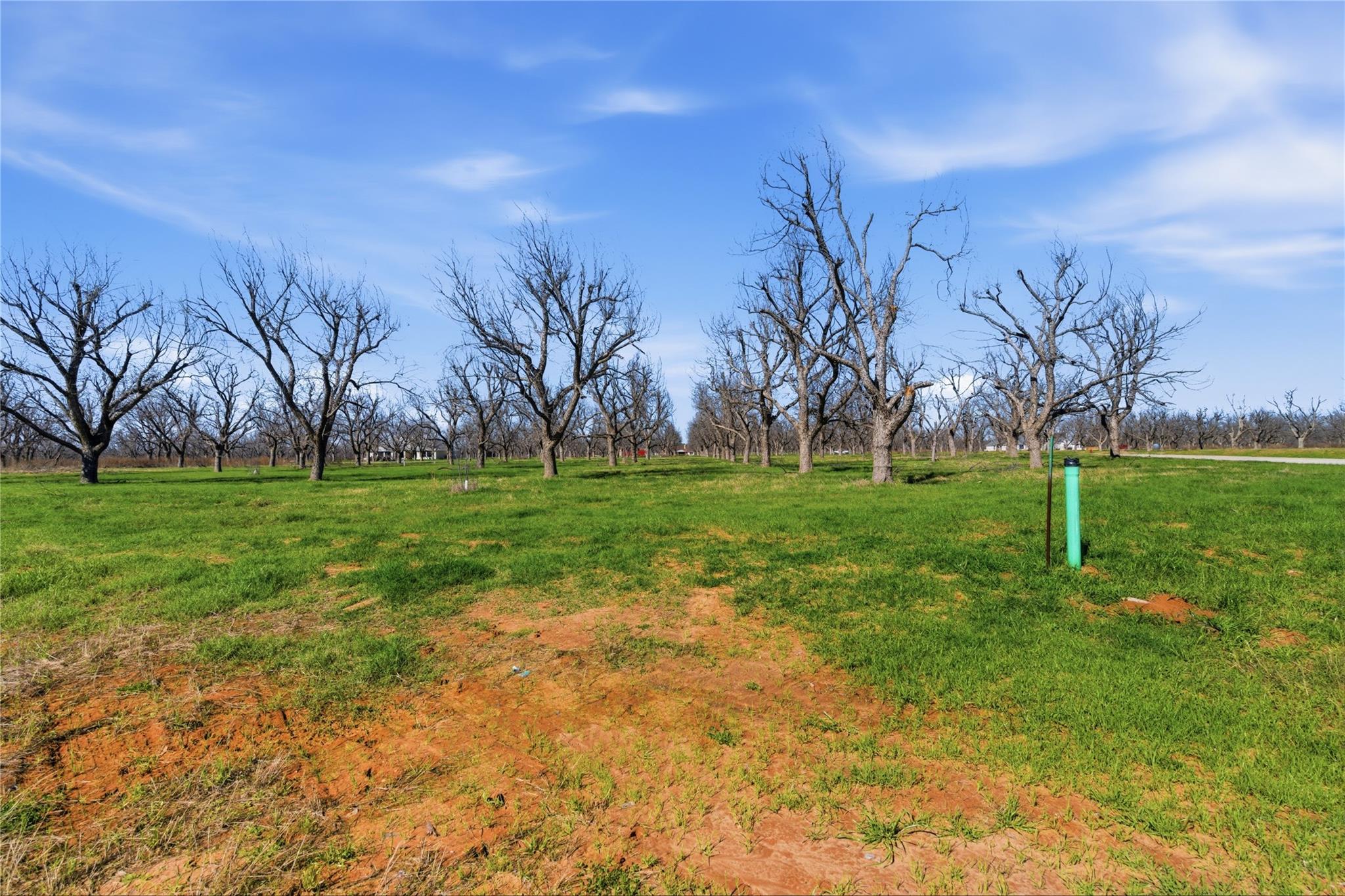 property viewer photo 7