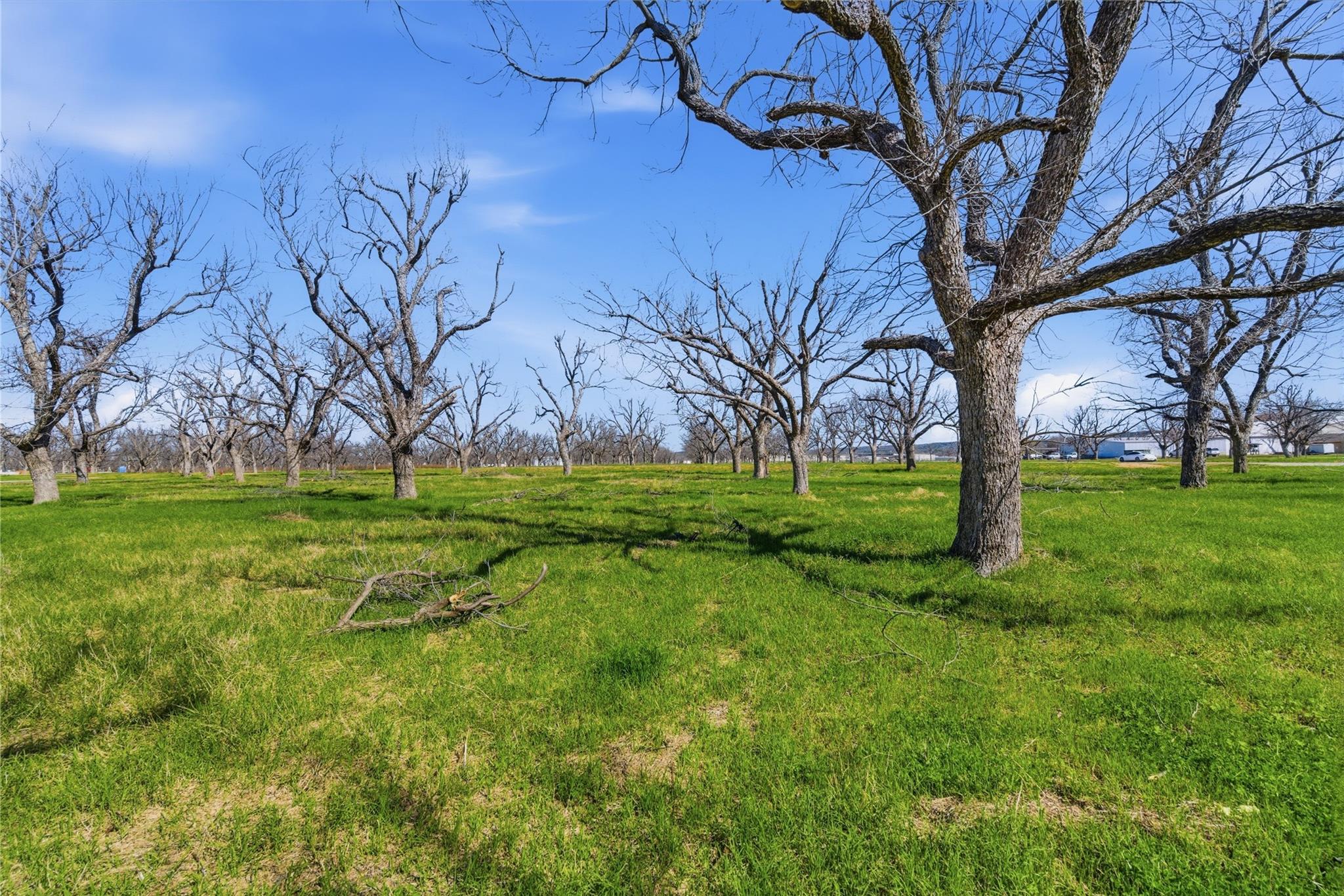 property viewer photo 9