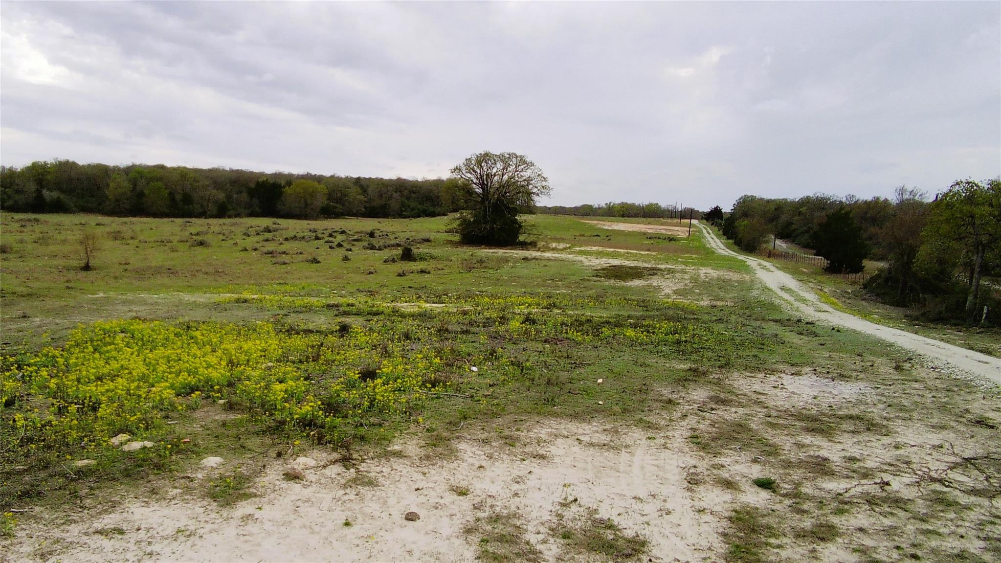 main property photo 10