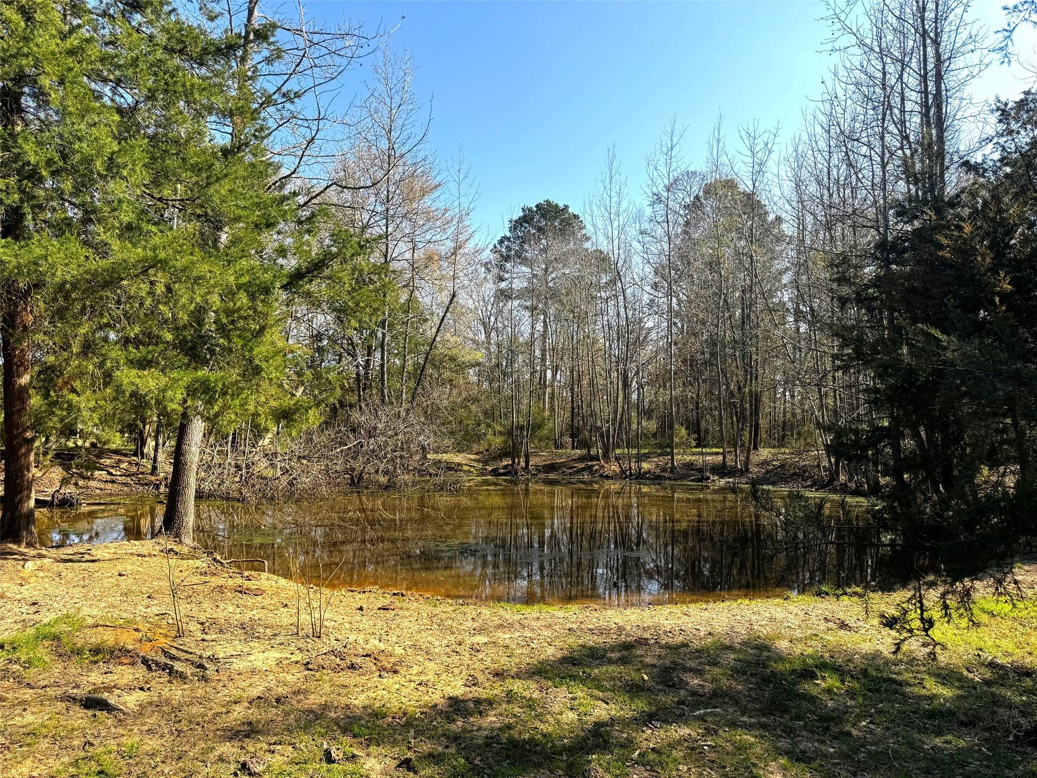 main property photo 23