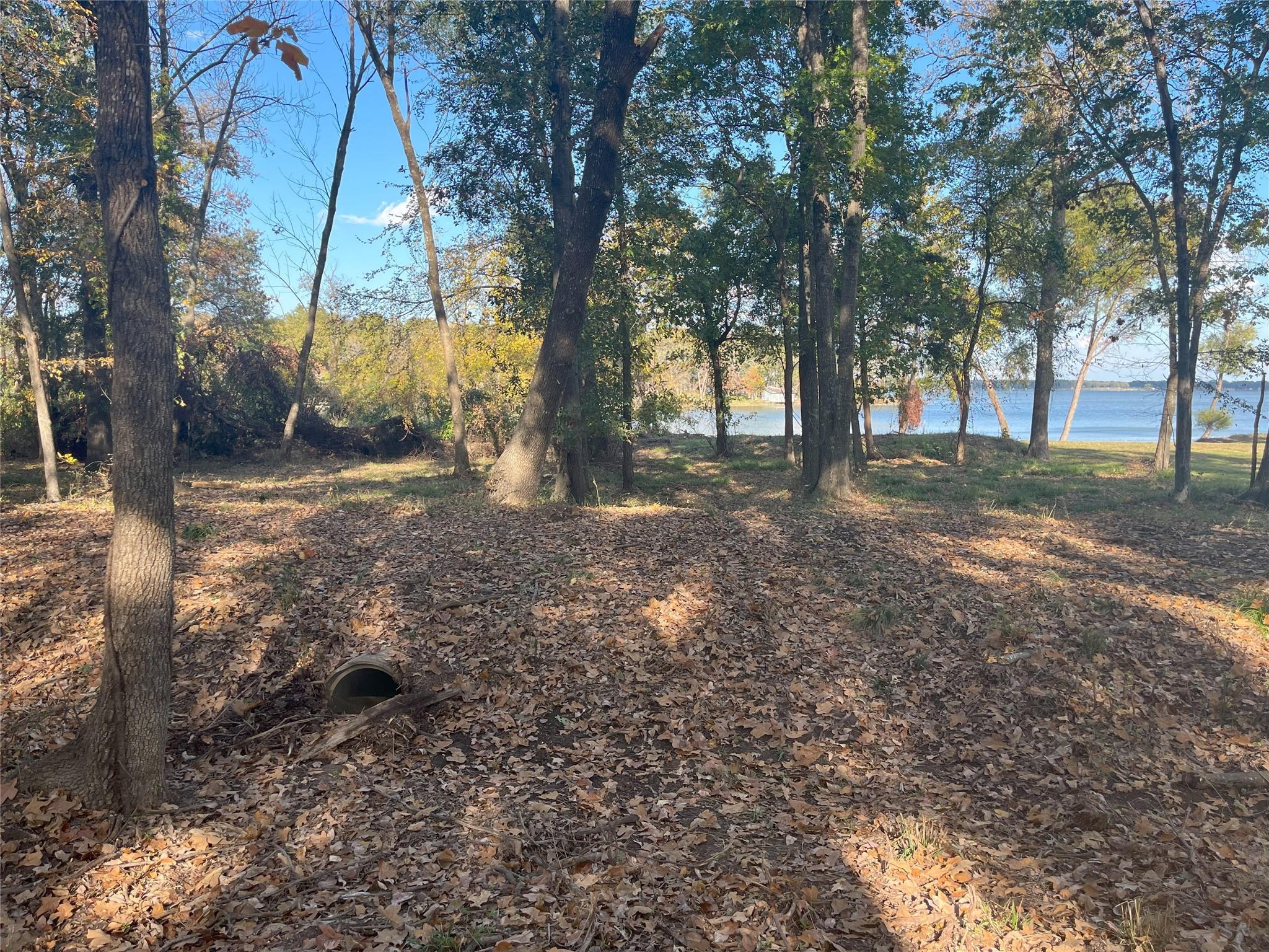 main property photo 10