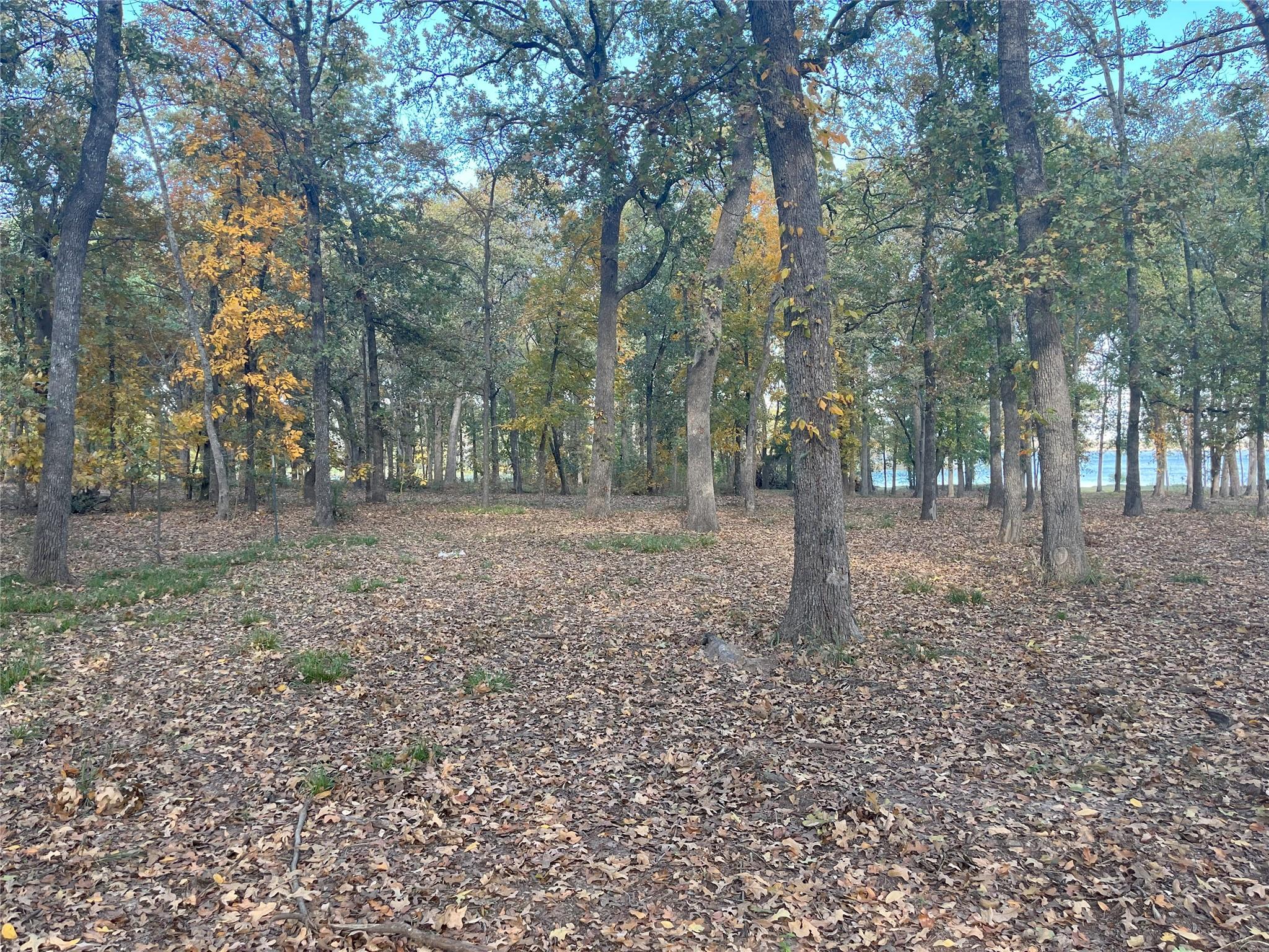 main property photo 7