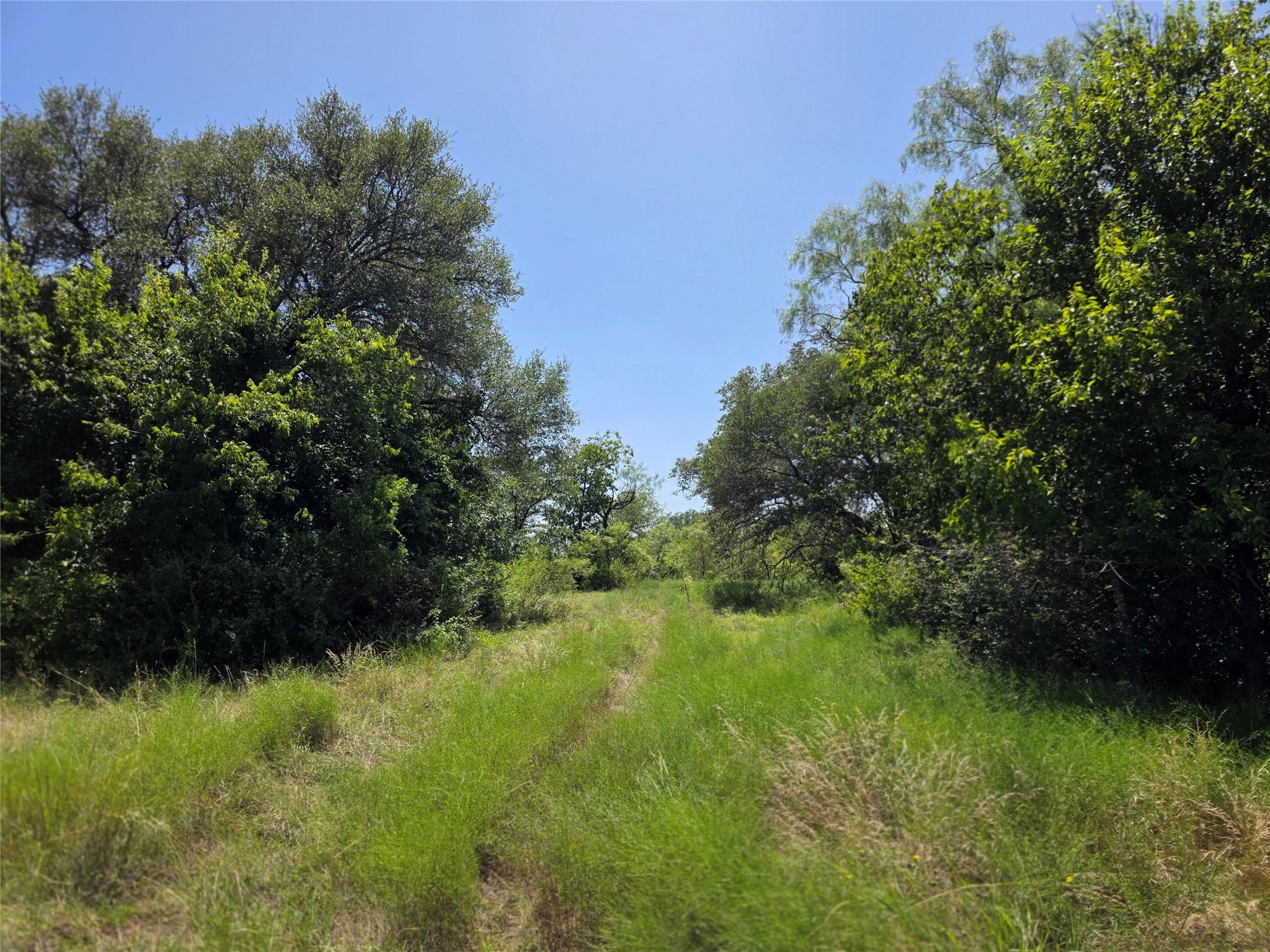 main property photo 12