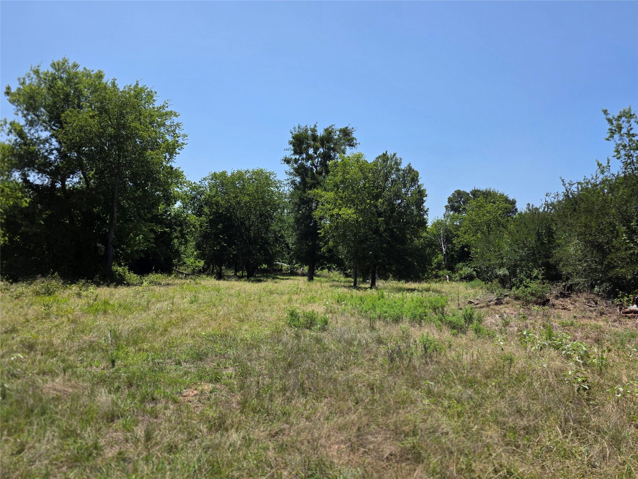 main property photo 18