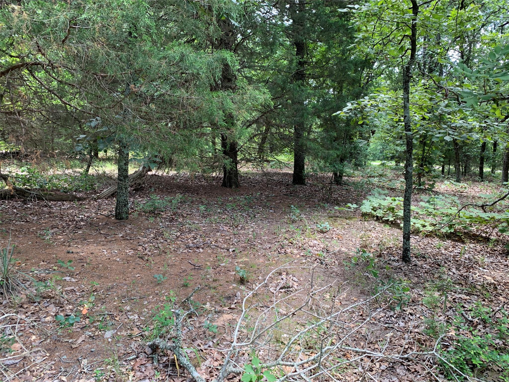 main property photo 14