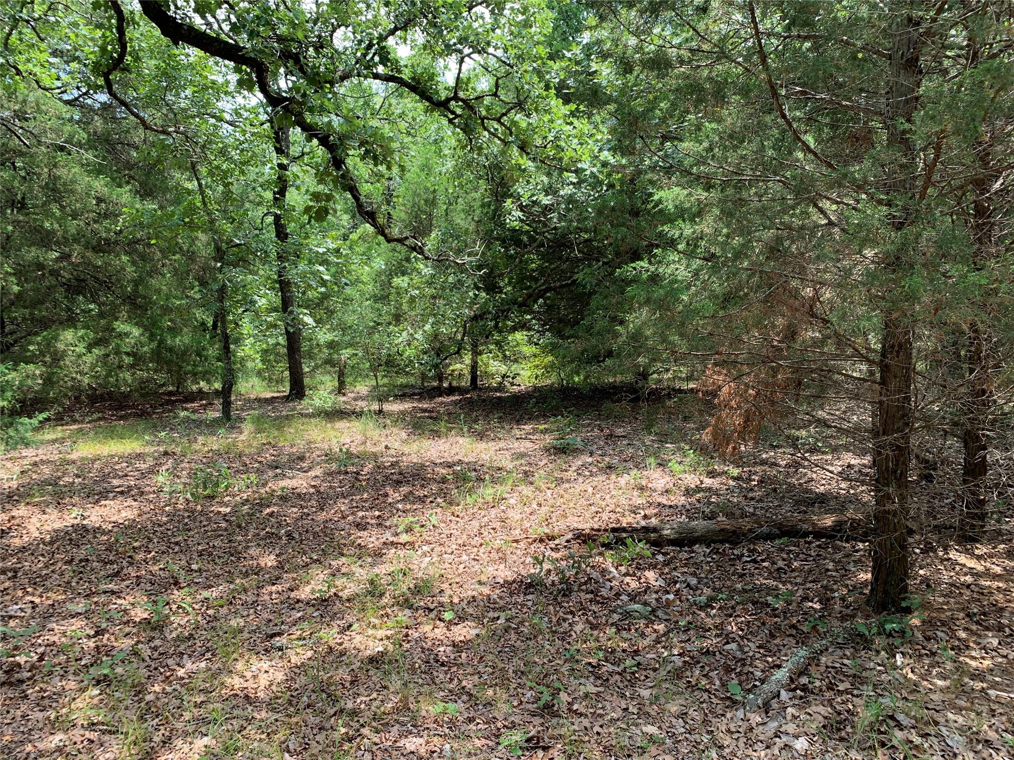 main property photo 15