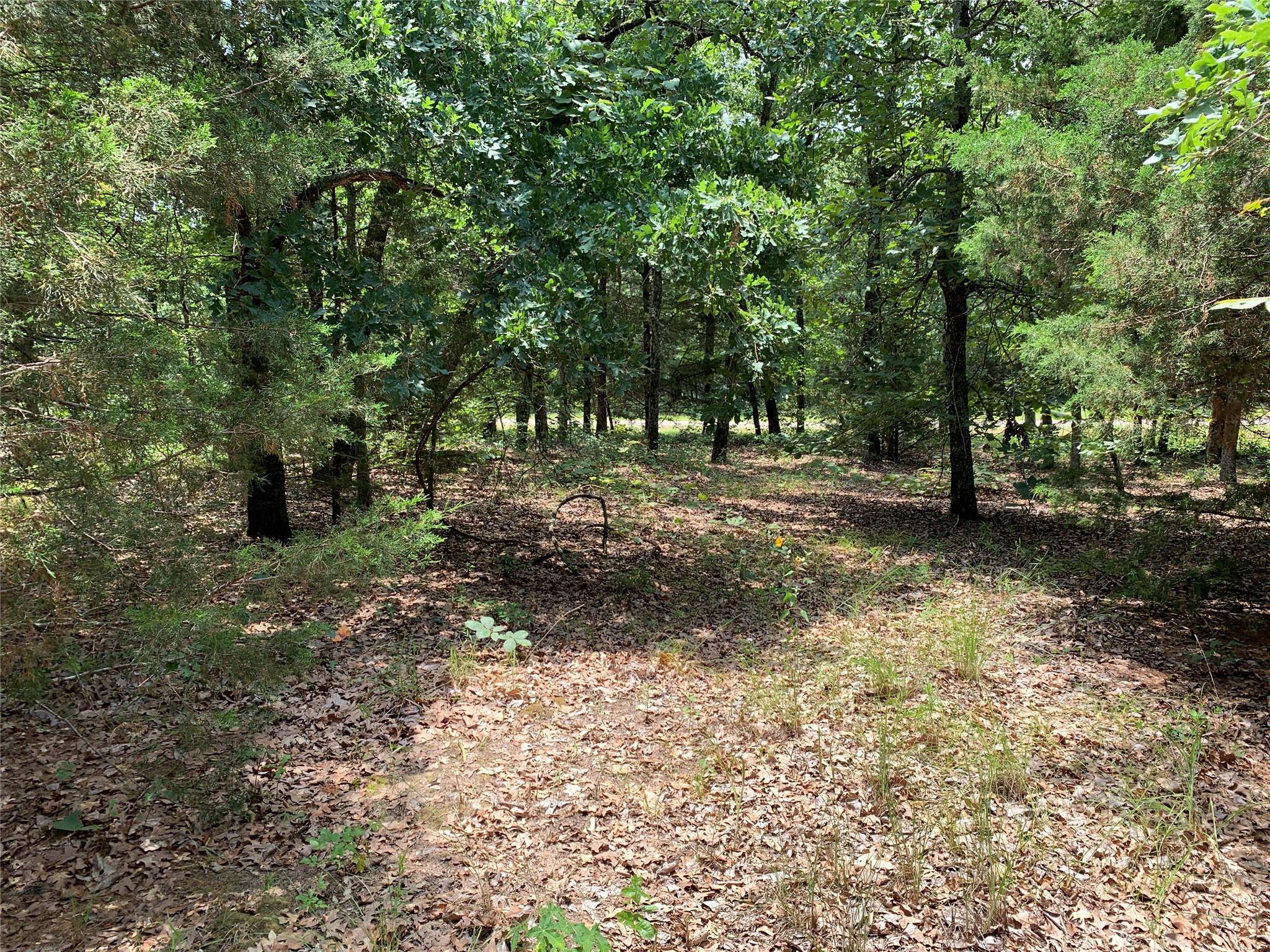 main property photo 16