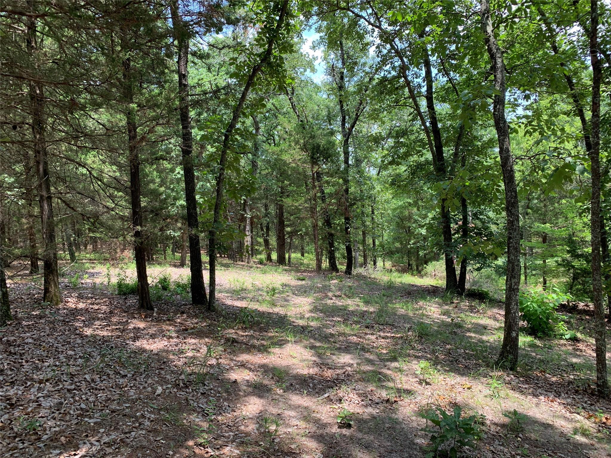 main property photo 6