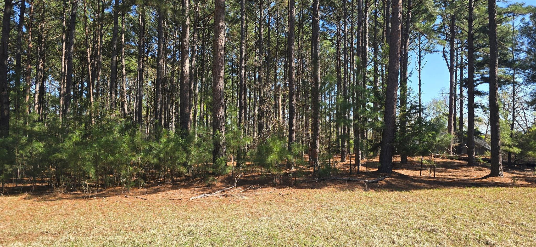 main property photo 21