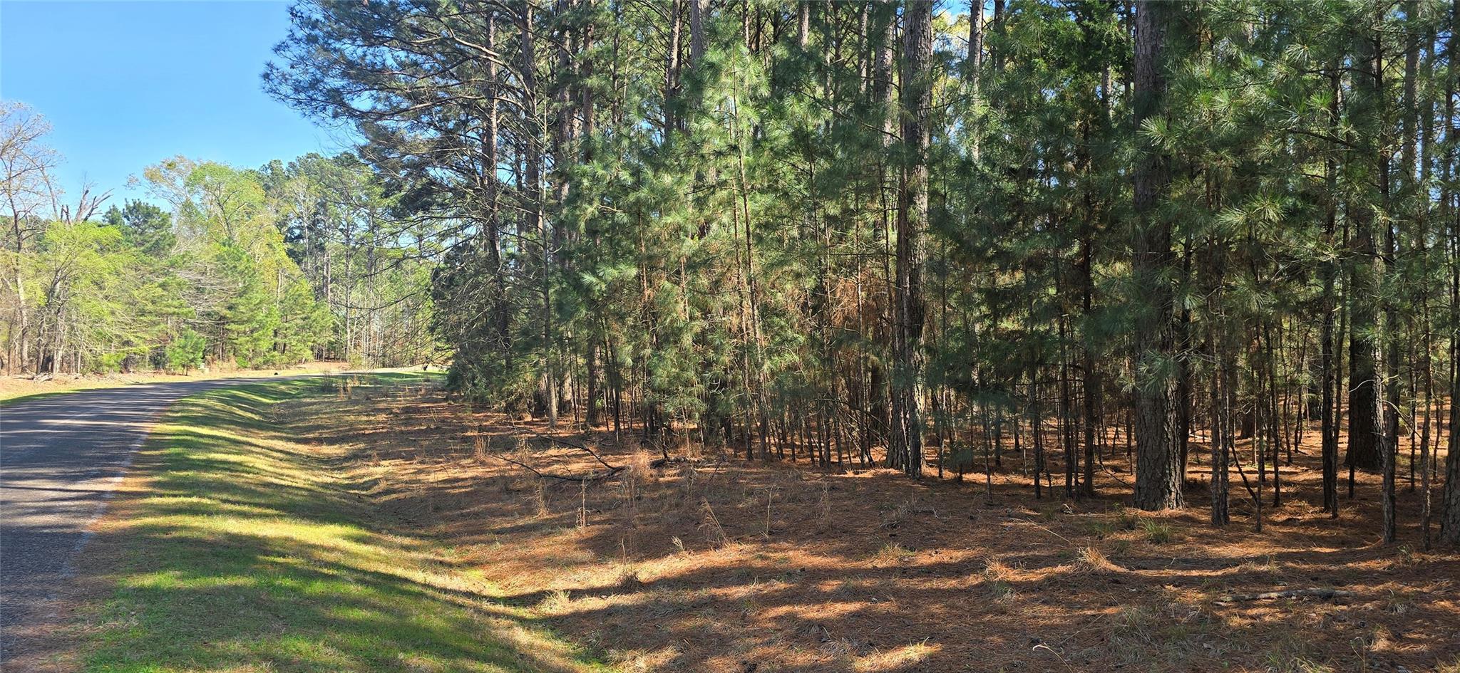main property photo 4