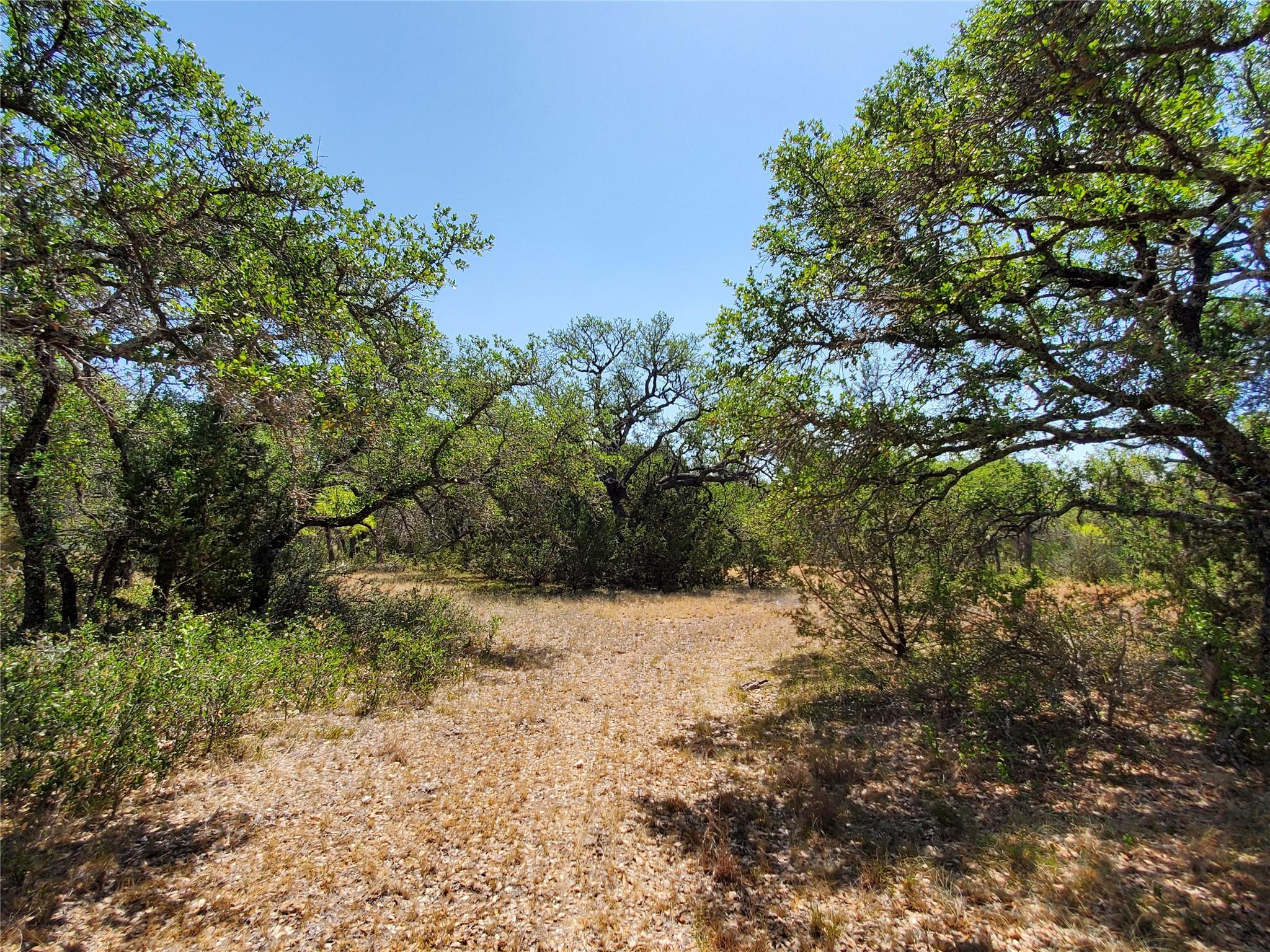 main property photo 17