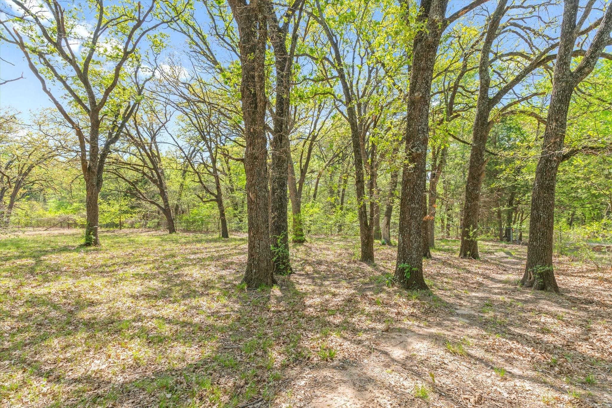 main property photo 39