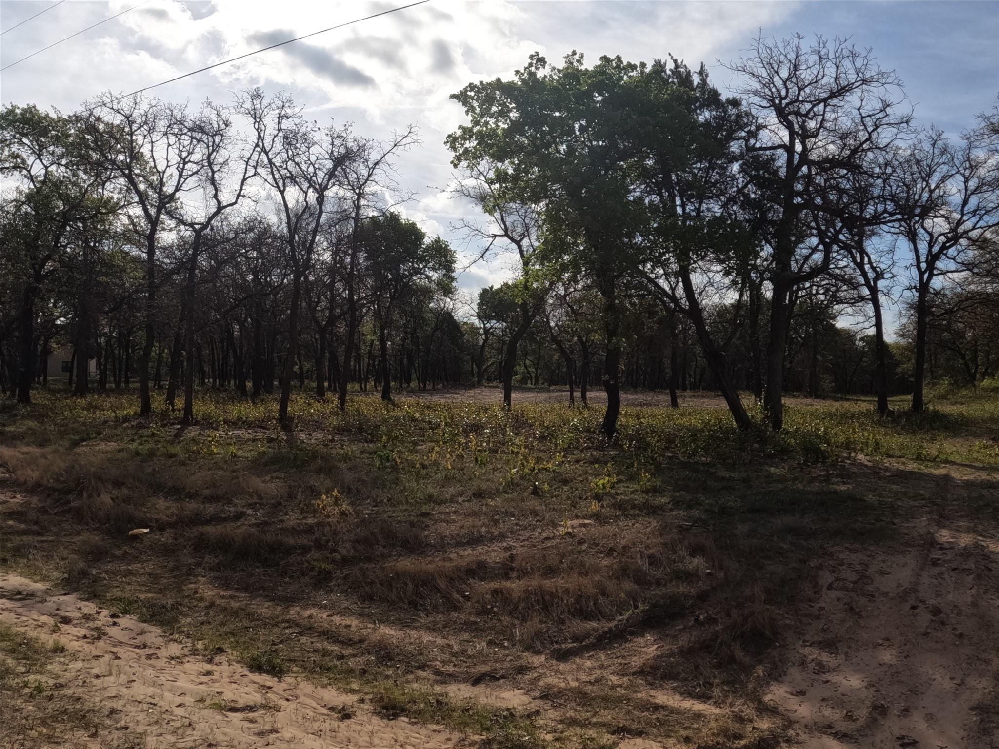main property photo 14