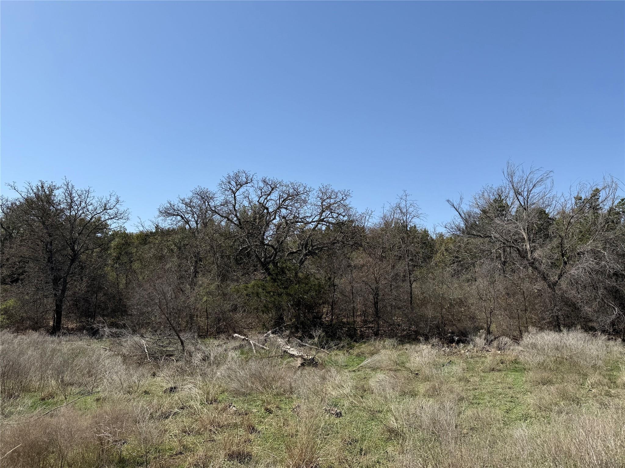 main property photo 10