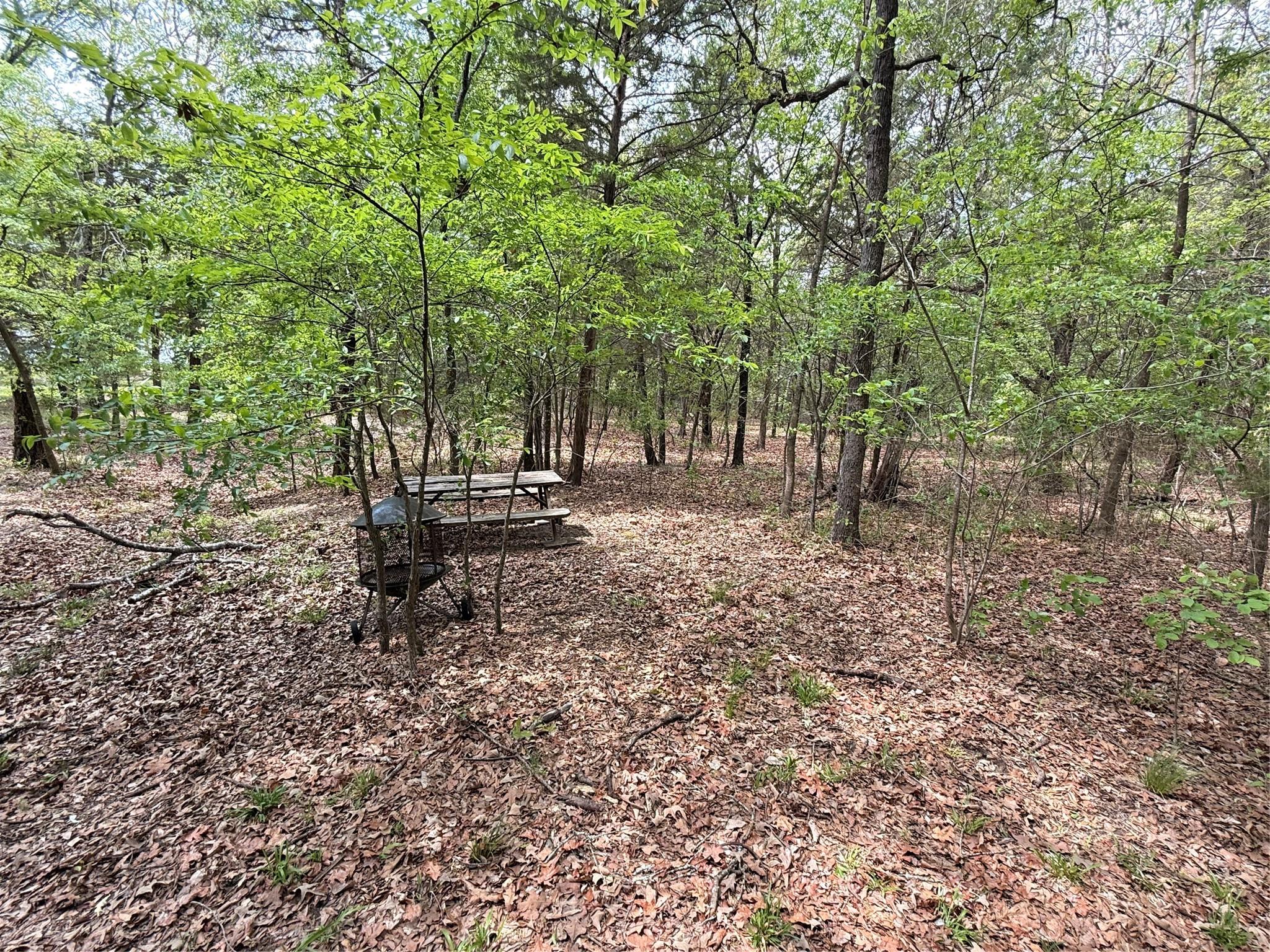 main property photo 13