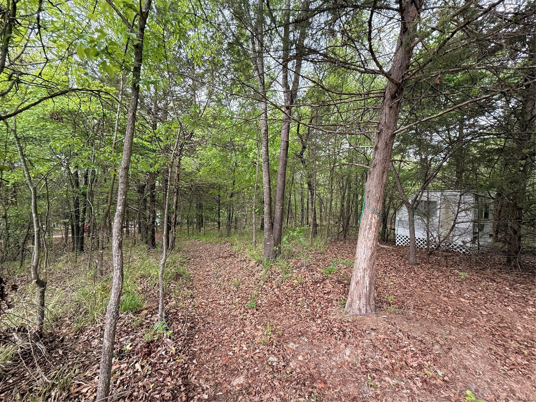 main property photo 27