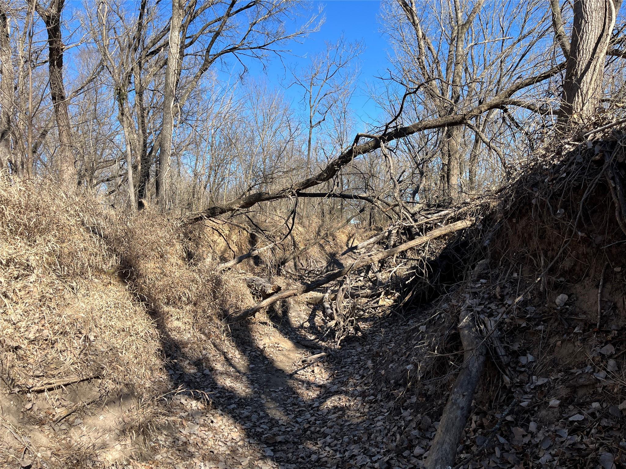 main property photo 15
