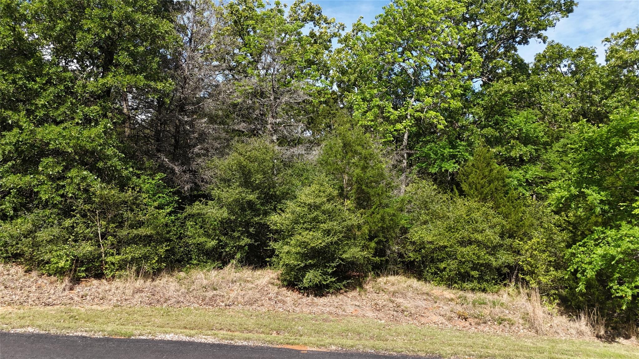main property photo 6