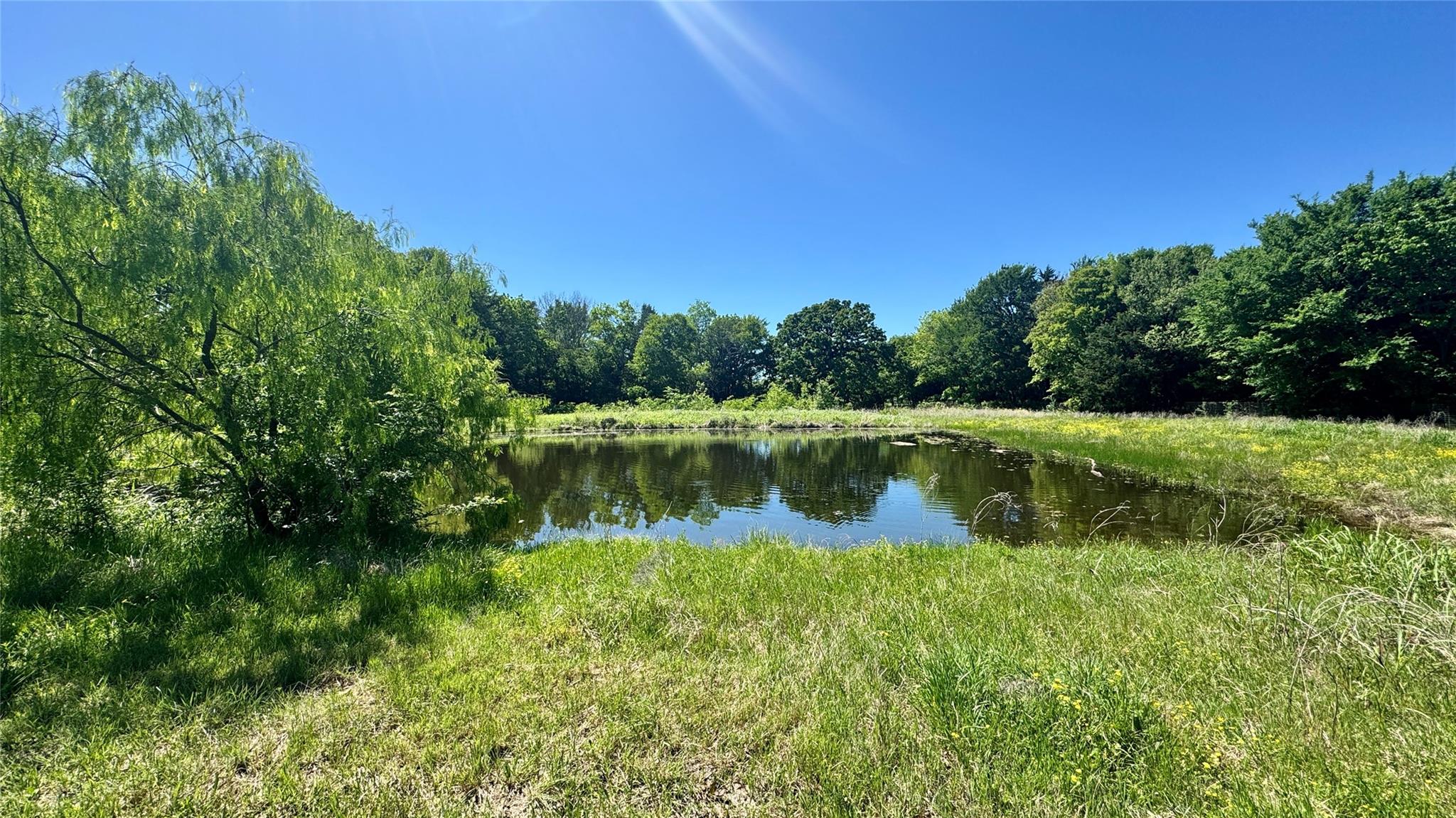 main property photo 7
