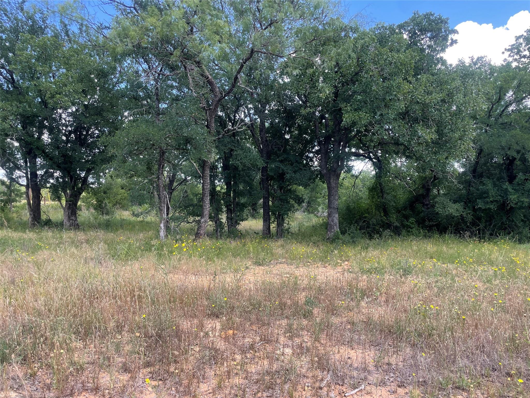 main property photo 26