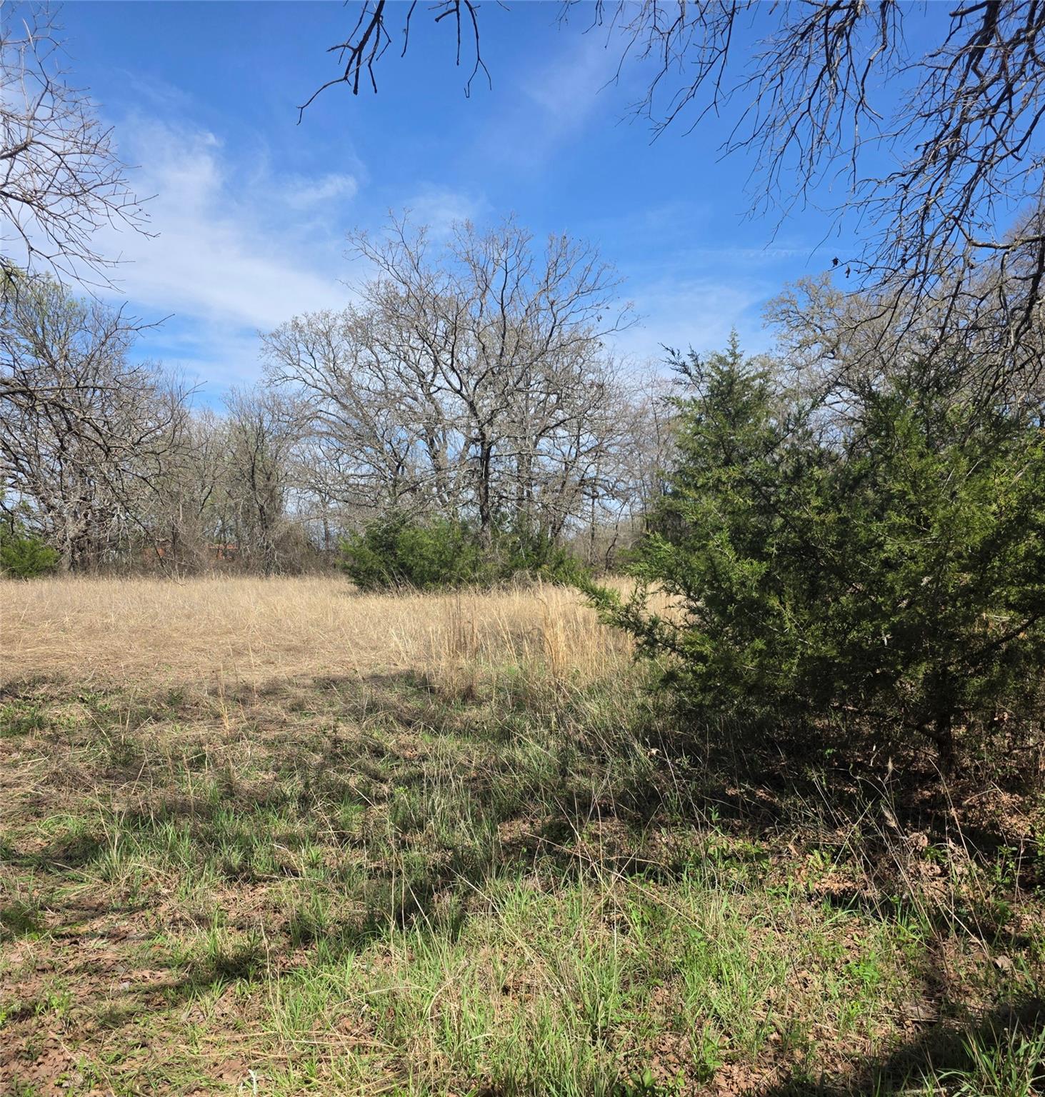 main property photo 15