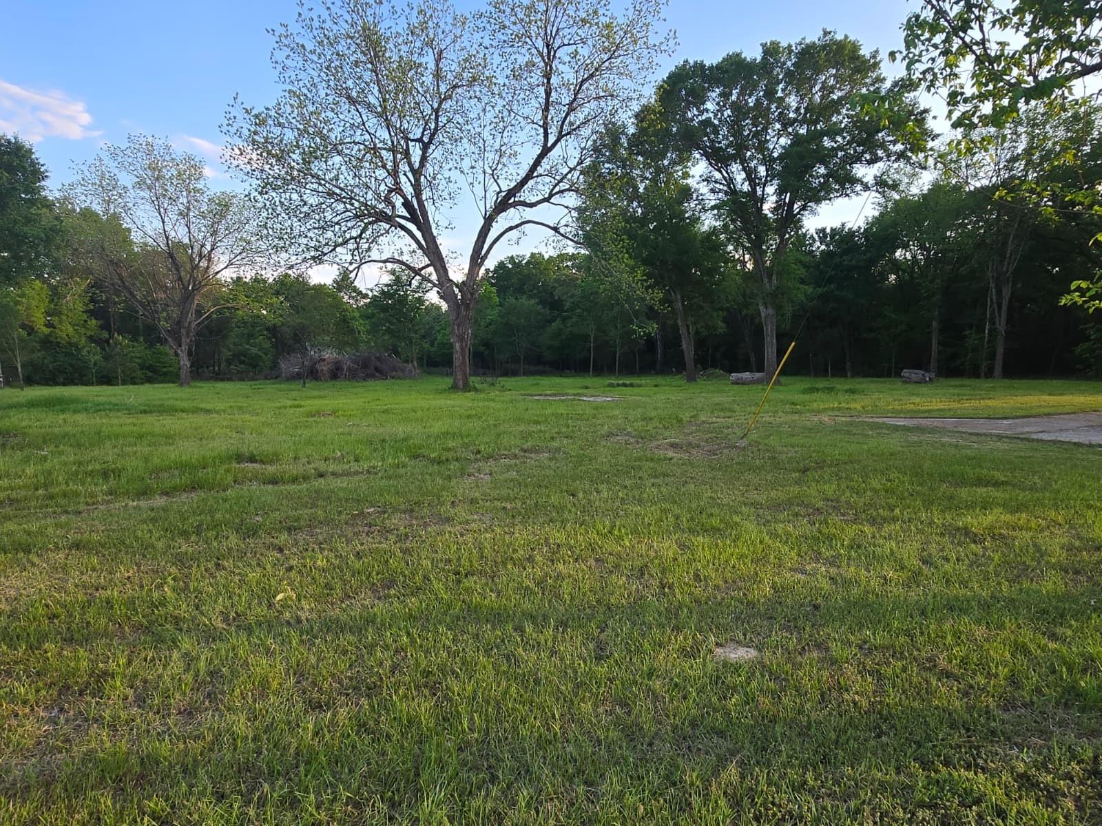main property photo 6